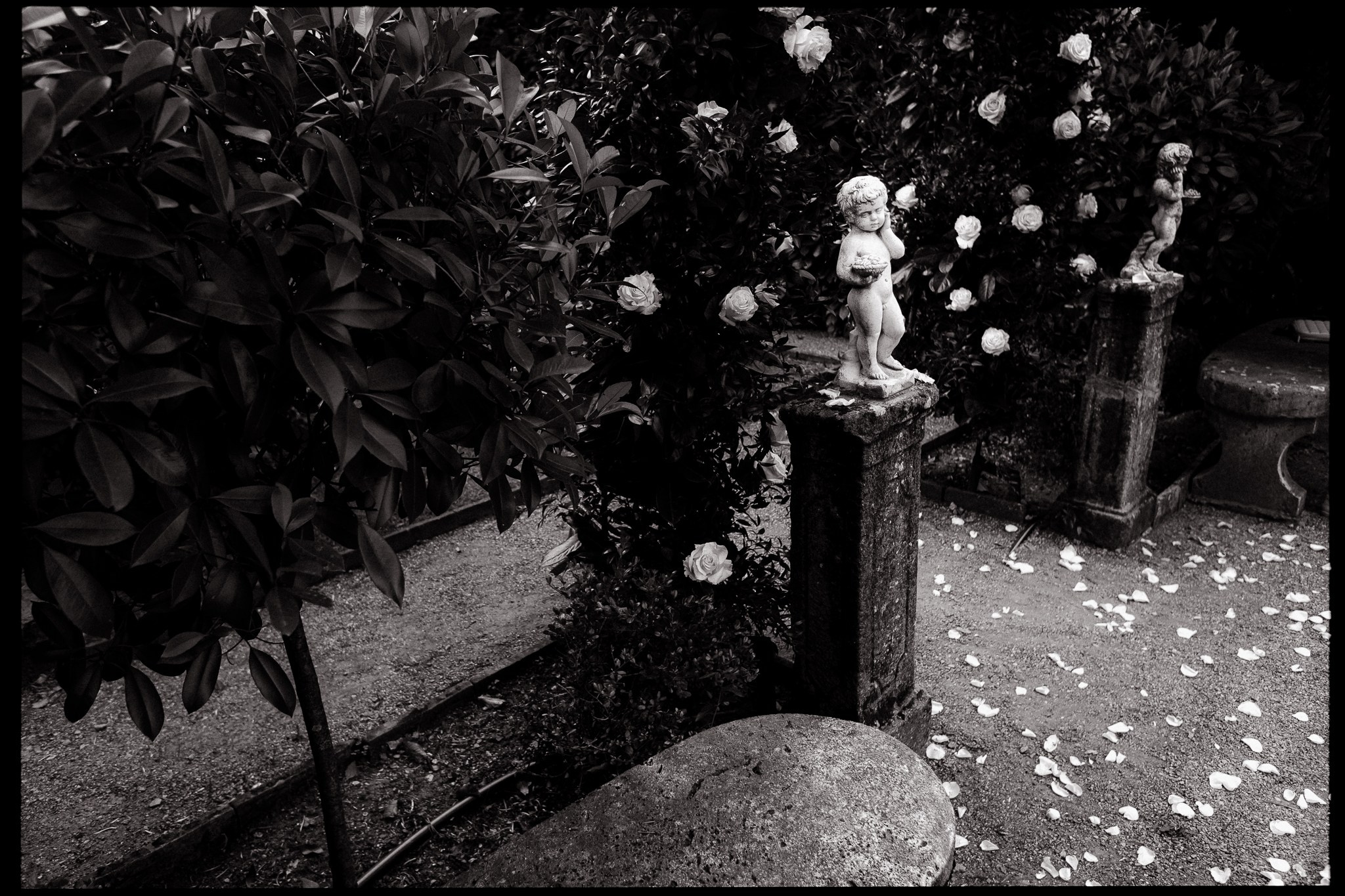 Свадебный день. Фотограф в Праге Александр Пивоваров