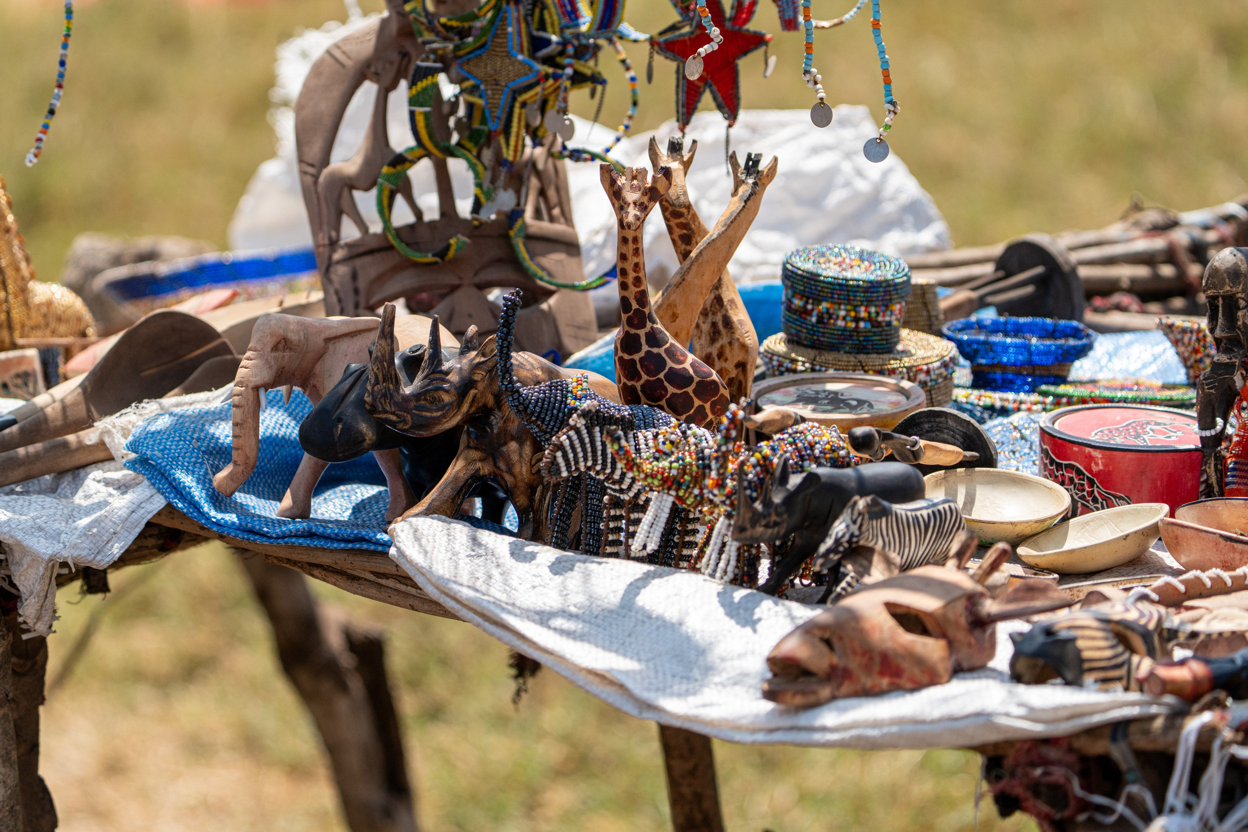 Танзания, сафари, 2025. Творческие сьемки