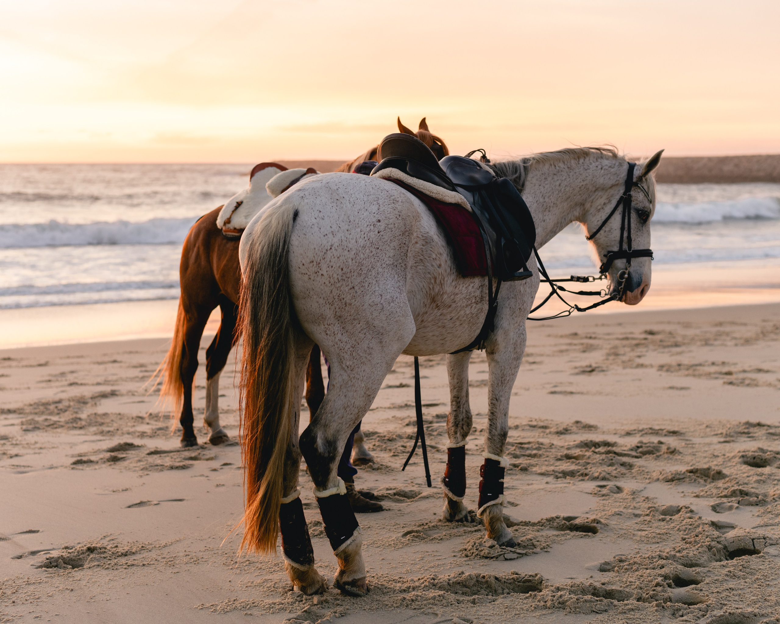 MAURA and MARCIO. Maceda. Anastasiia Antoniuk portrait, family and couple photographer, Portugal