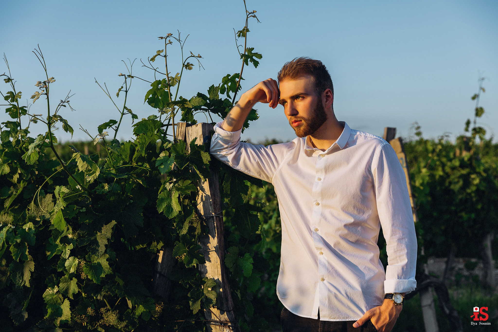 свадебный фотограф Новороссийск, свадебная фотосессия в Абрау, фотограф на свадьбу НВРСК, свадебный фотограф Сочи, фотограф на свадьбу, фотограф Новороссийск, фото НВРСК, свадебное платье Новороссийск, лучшие свадебные фотографы Новороссийск, фотограф на свадьбу Анапа, фотограф на свадьбу Геленджик, фотограф НВРСК