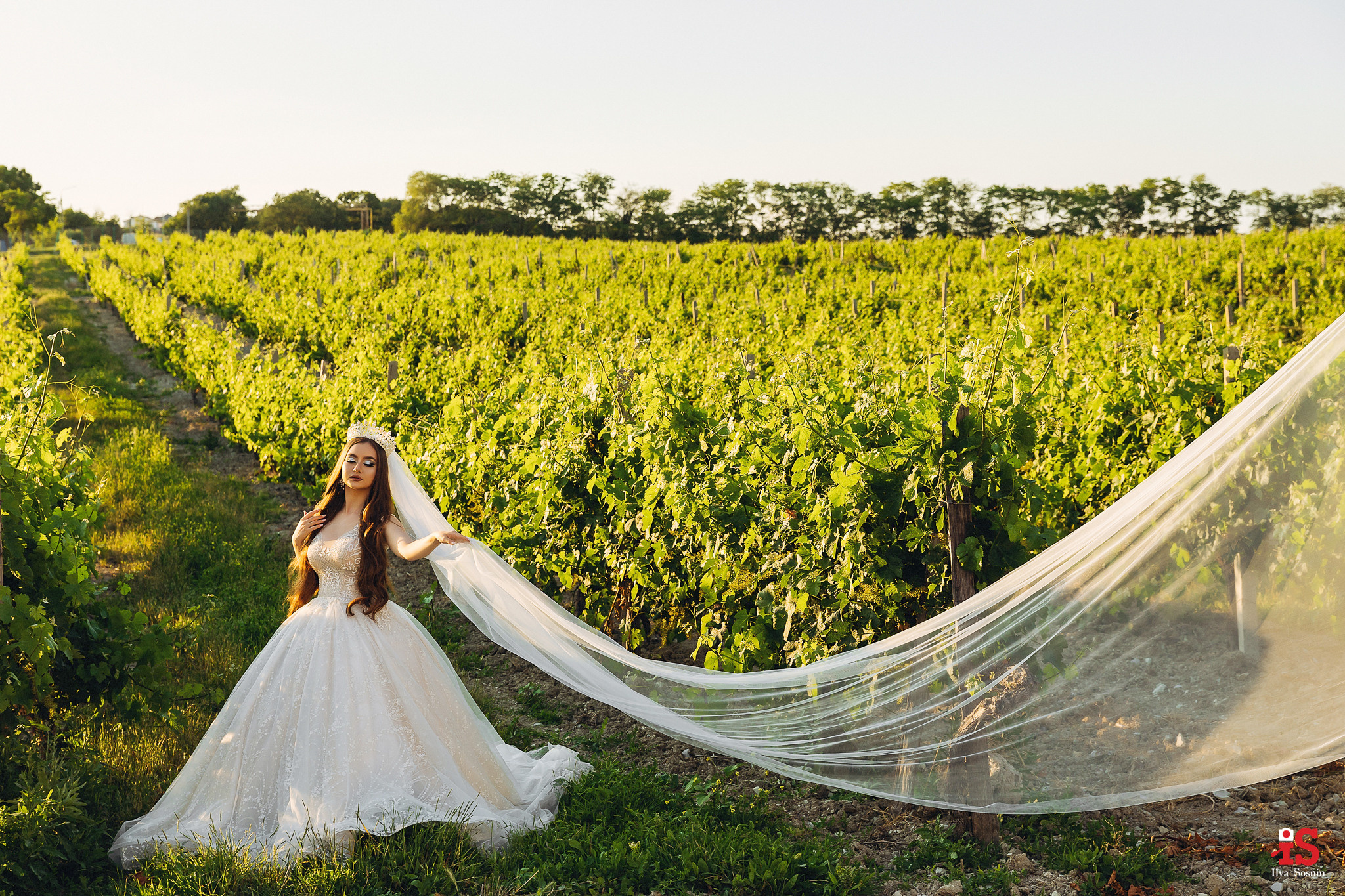 свадебный фотограф Новороссийск, свадебная фотосессия в Абрау, фотограф на свадьбу НВРСК, свадебный фотограф Сочи, фотограф на свадьбу, фотограф Новороссийск, фото НВРСК, свадебное платье Новороссийск, лучшие свадебные фотографы Новороссийск, фотограф на свадьбу Анапа, фотограф на свадьбу Геленджик, фотограф НВРСК
