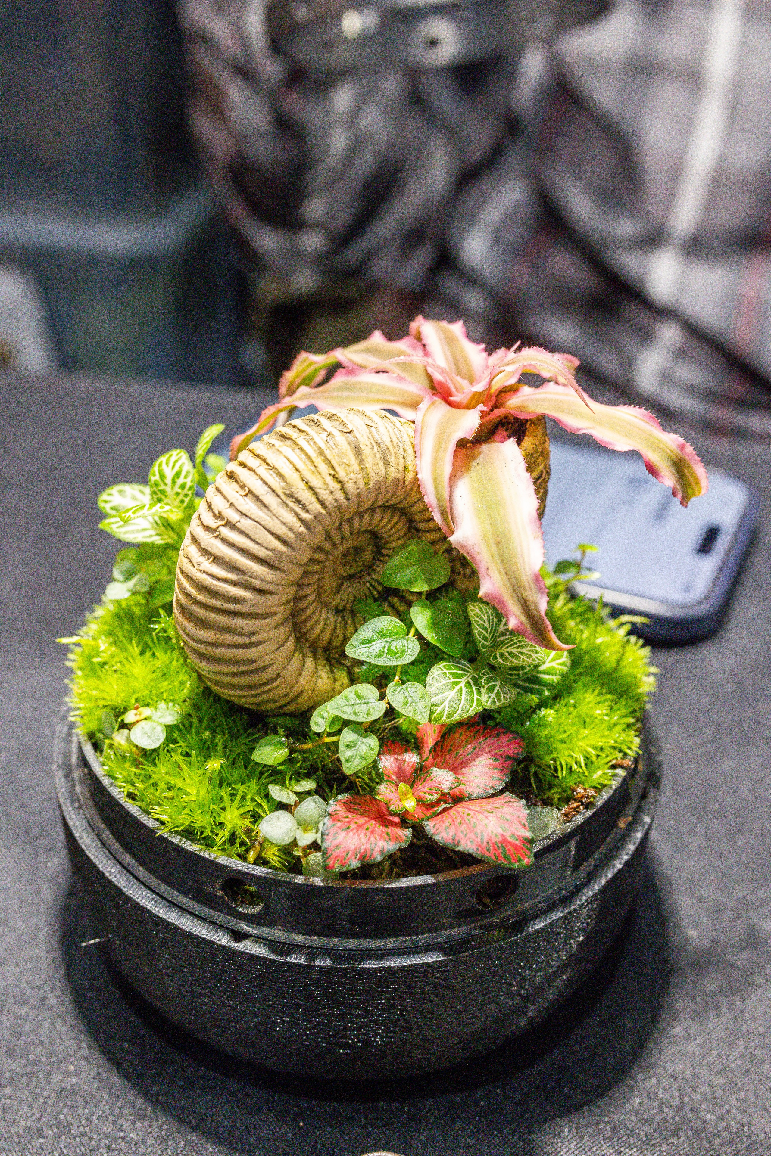 Монстериум апрель 2025. Александра Куликова фотограф, Москва