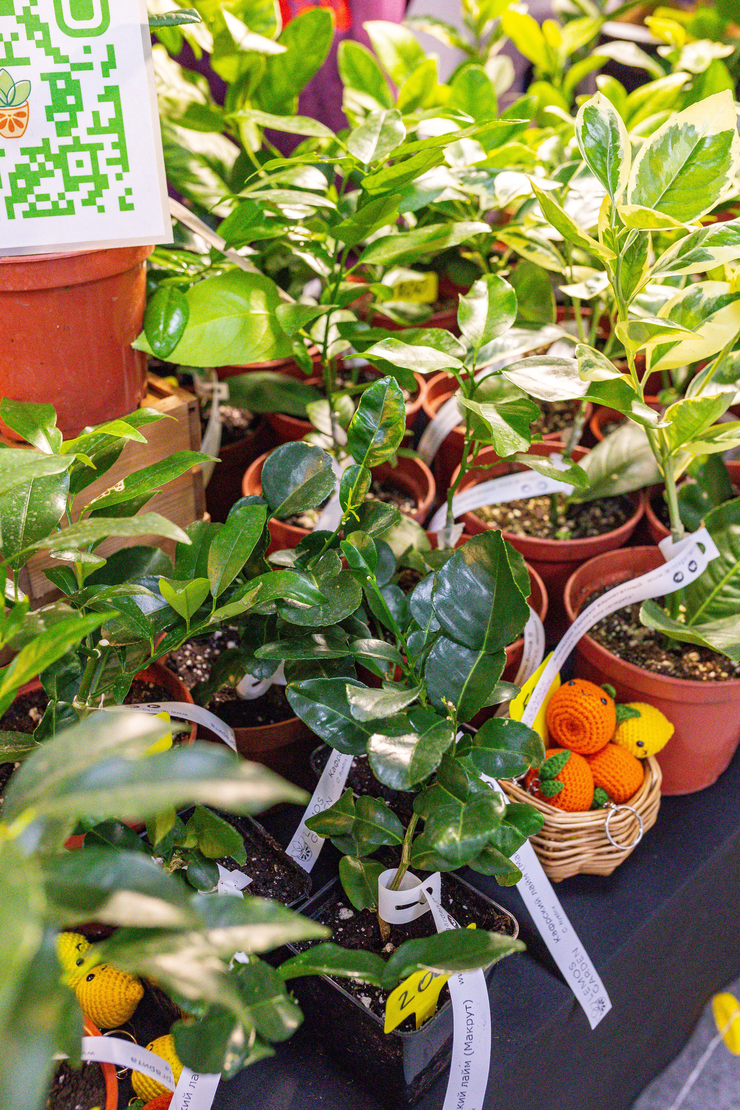 Монстериум 11–12 октября. Александра Куликова фотограф, Москва