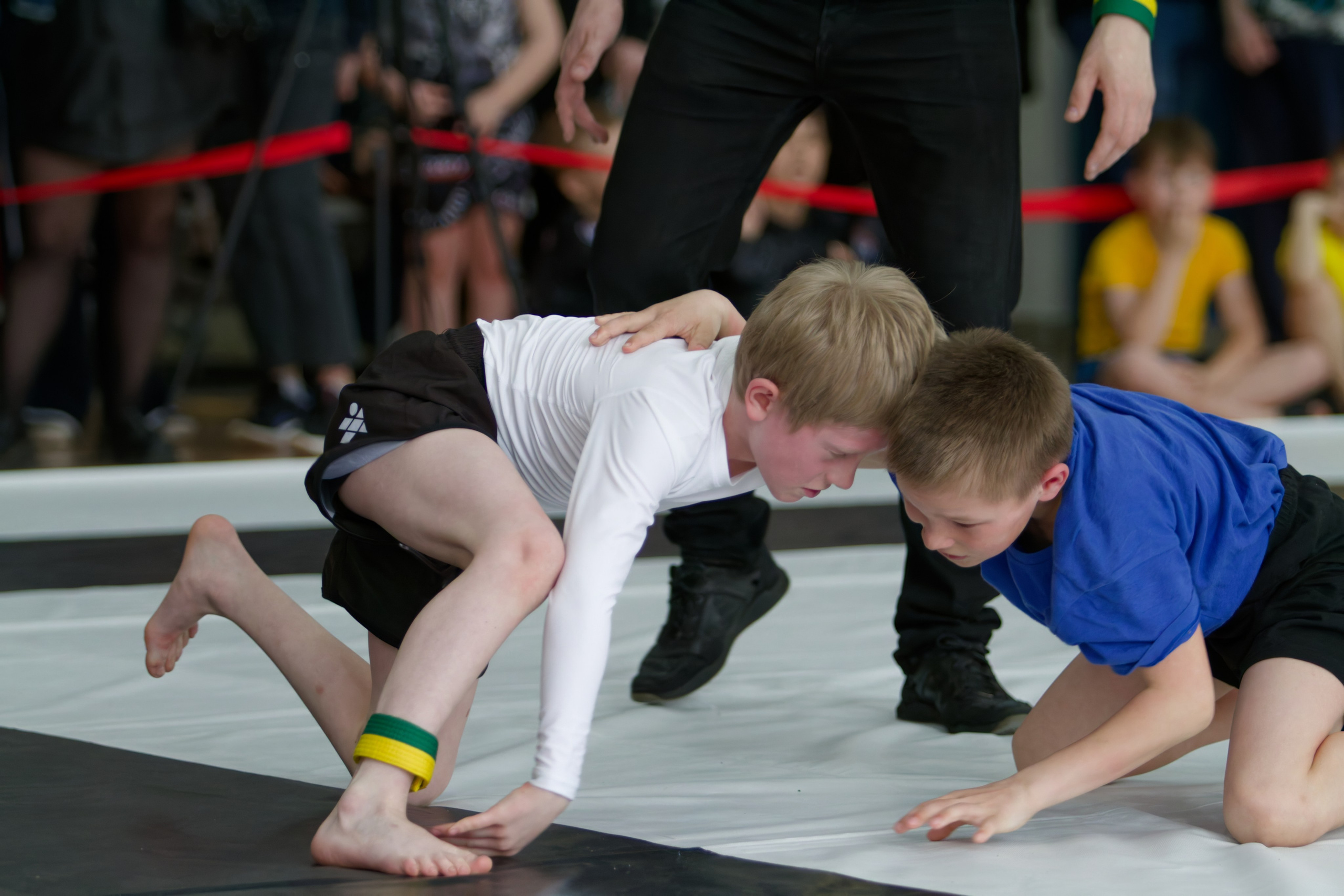 Борьба. Джиу-джитсу 26.04.2025. Репортажный и спортивный фотограф в г. Пермь Зильберг Павел