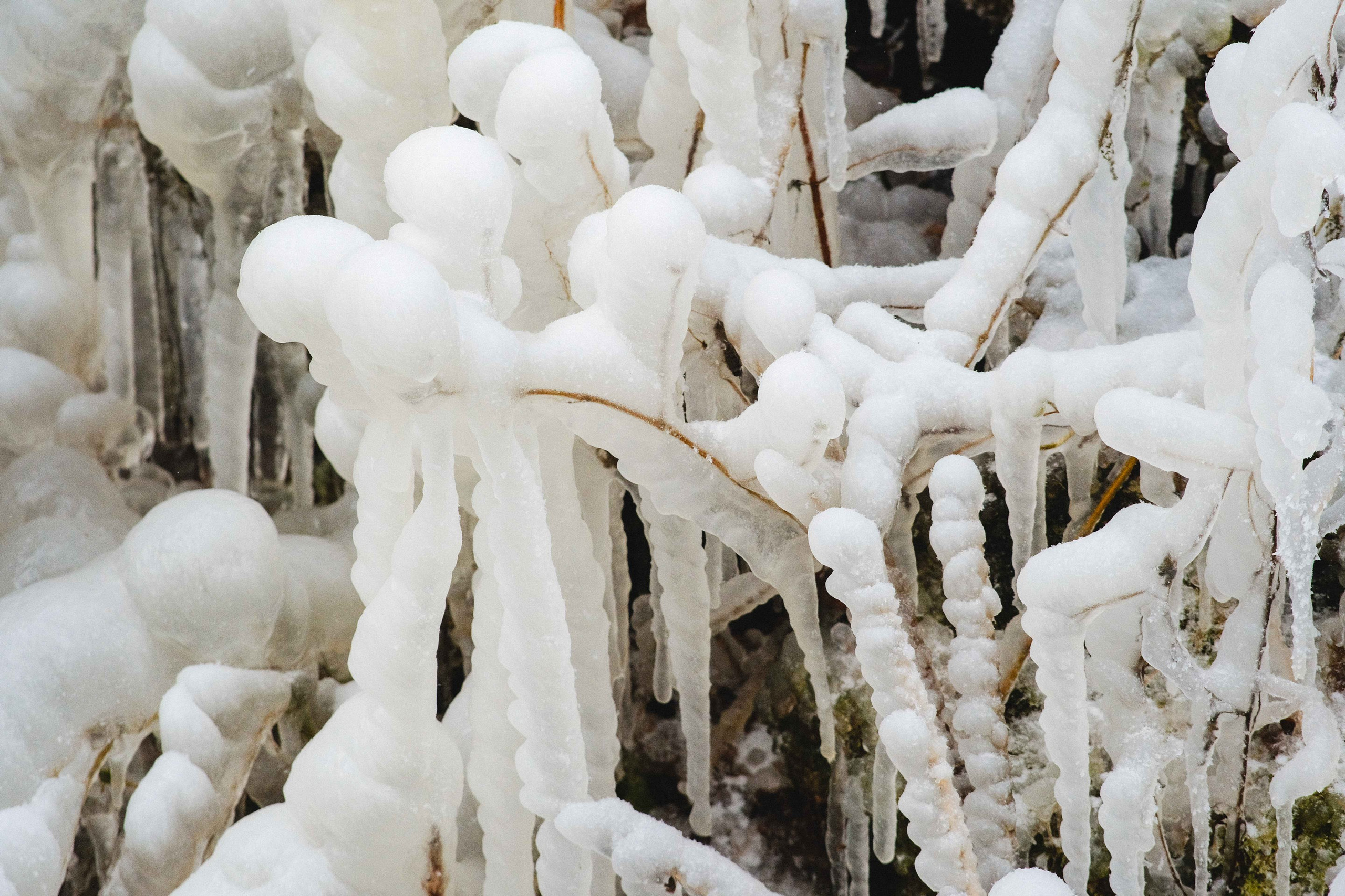 2022.11. Фотограф Алексей Алексеев