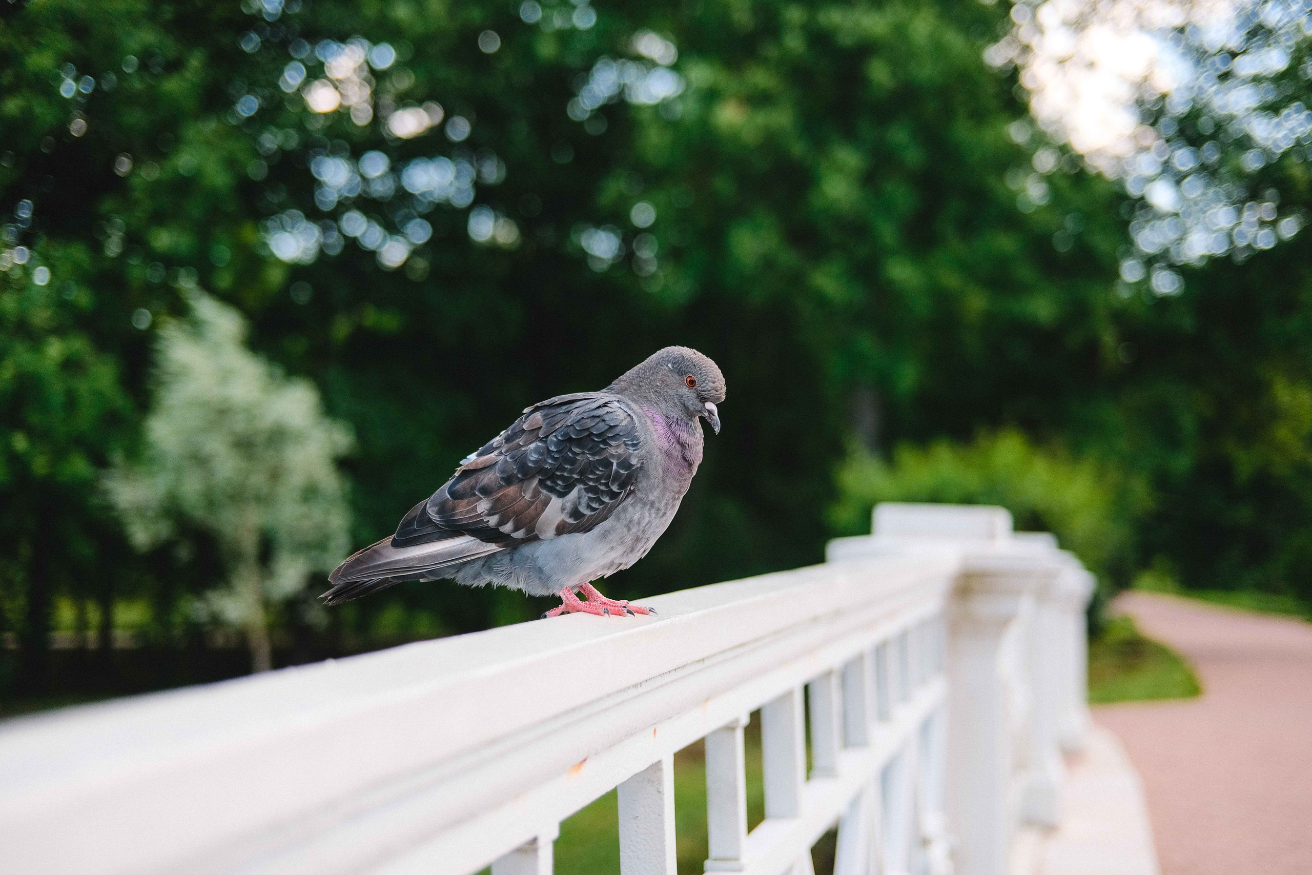 2023.07. Фотограф Алексей Алексеев