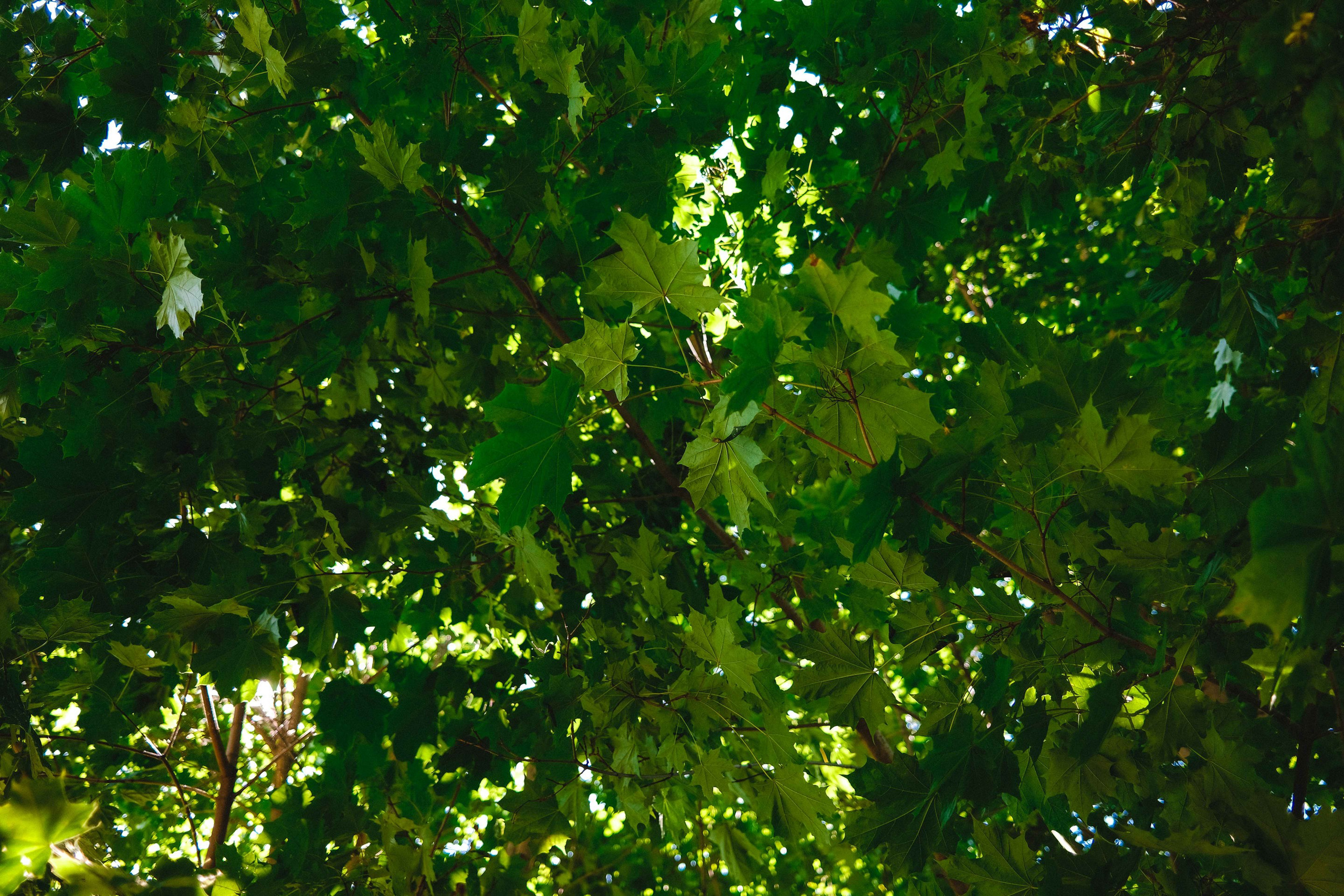 2023.08. Фотограф Алексей Алексеев