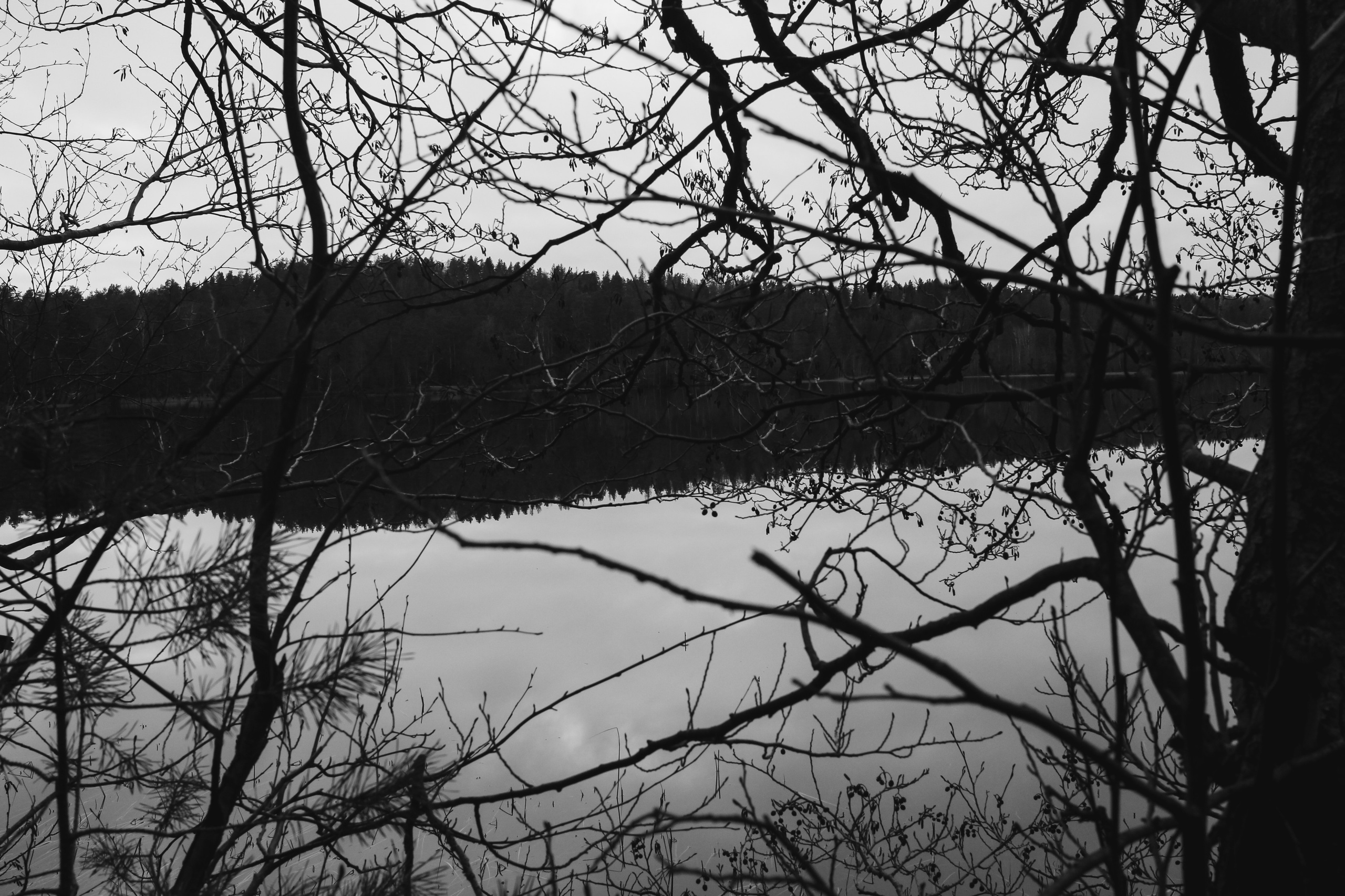 Лес и абстрактность. Портретный фотограф DanilNabody