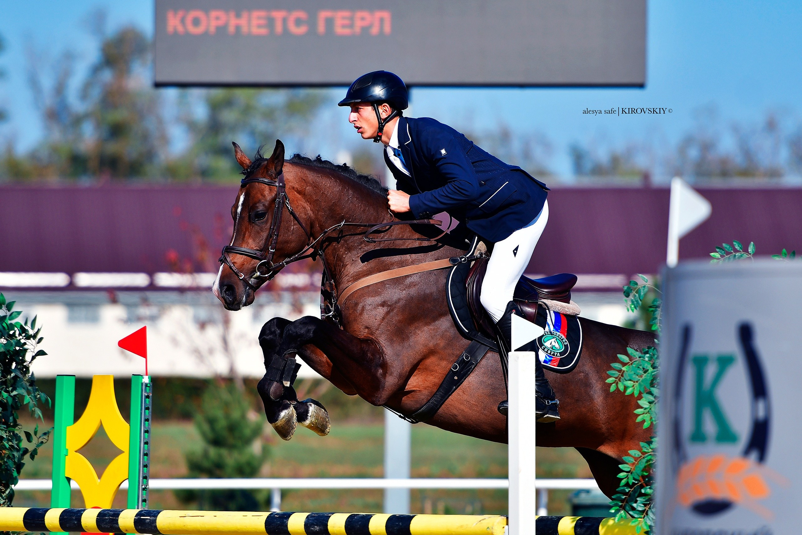 Кировский конный завод. Конный фотограф Alesya Safe