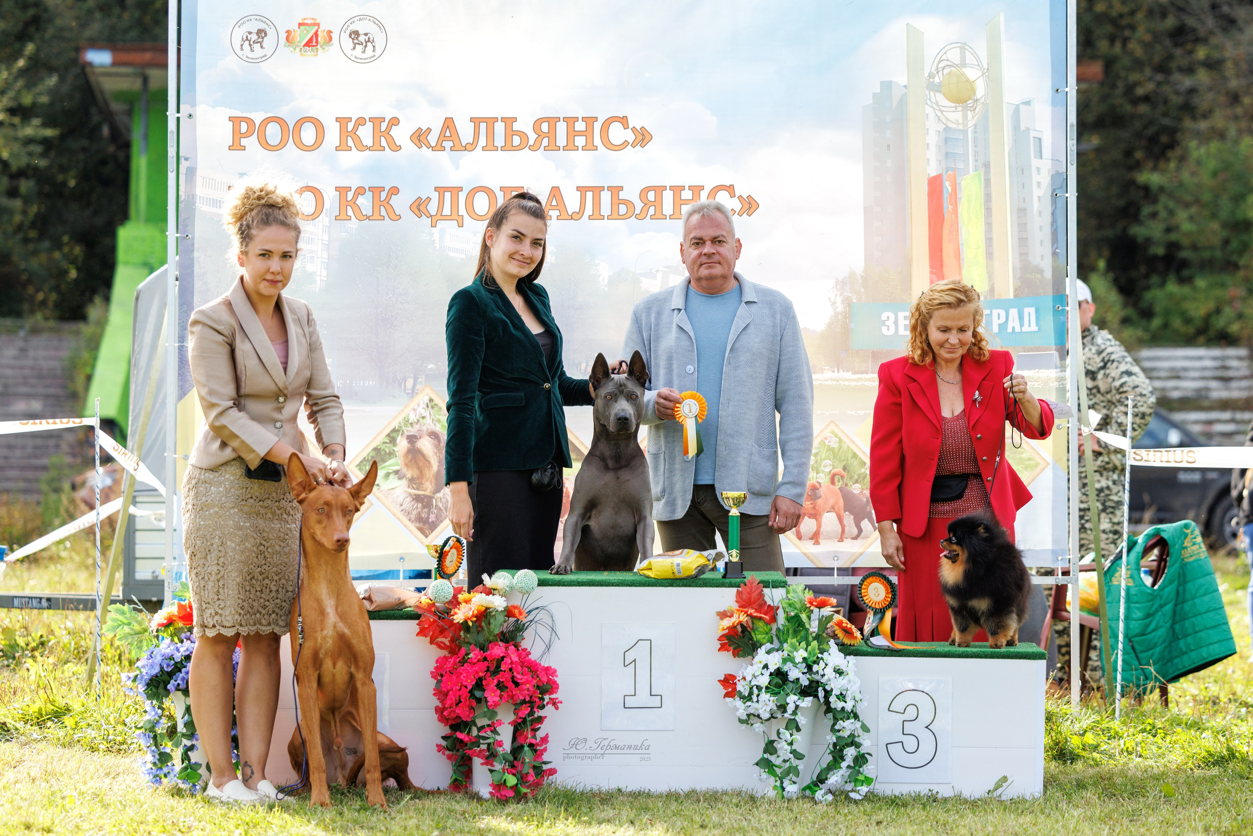 Зеленоград 13.09.2025. Фотограф-анималист Юлия Германика