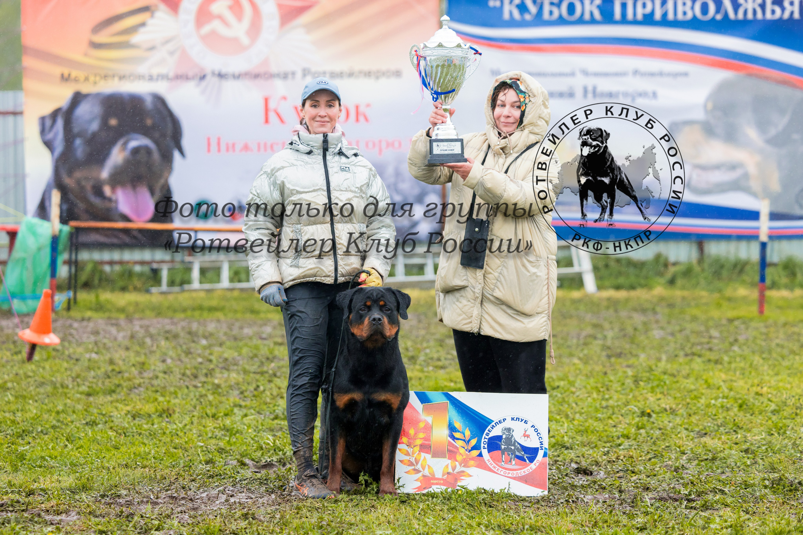 Нижний Новгород 2хмоно ротвейлеров 10-11.05.2025. Фотограф-анималист Юлия Германика