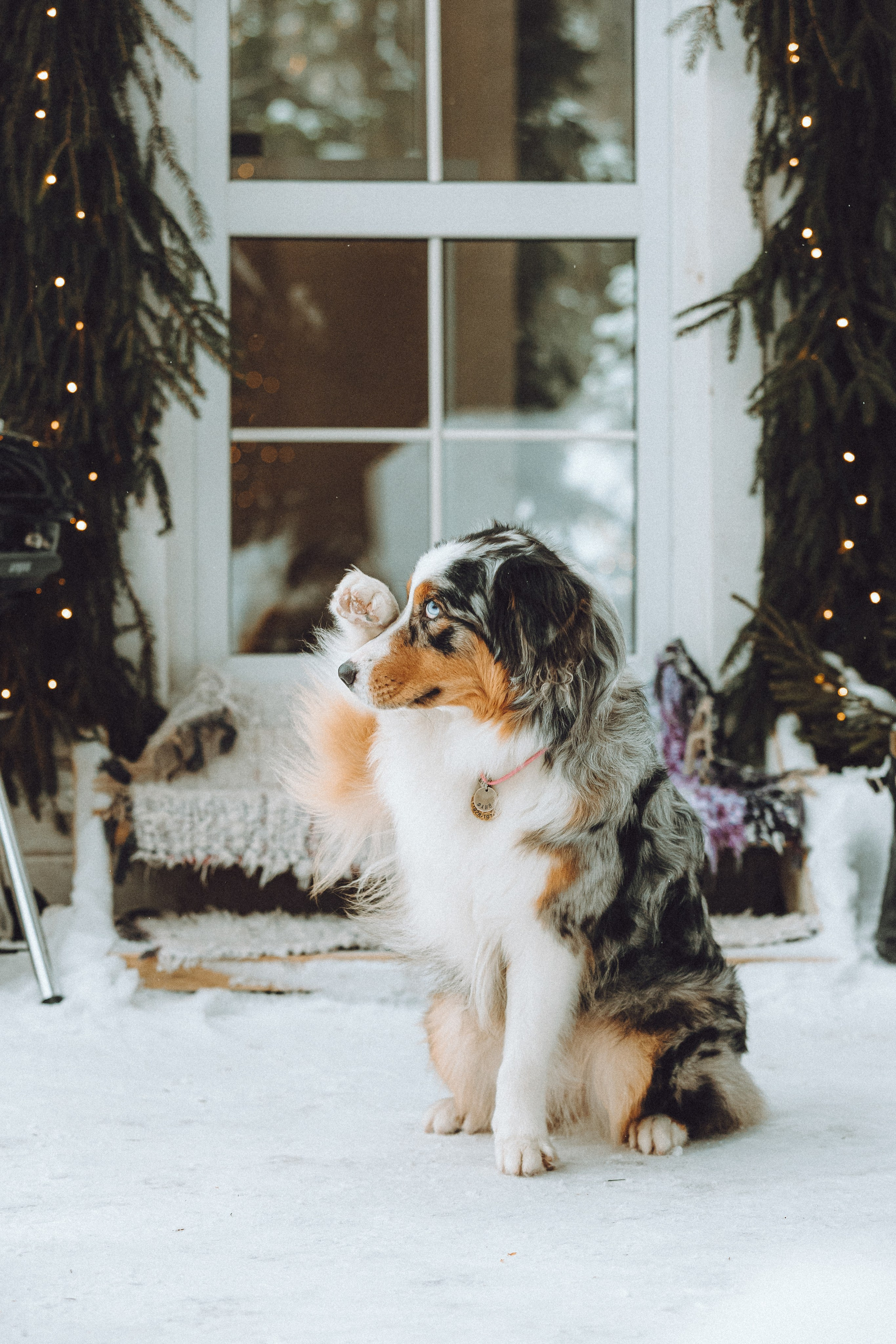 Фаня и ее семья