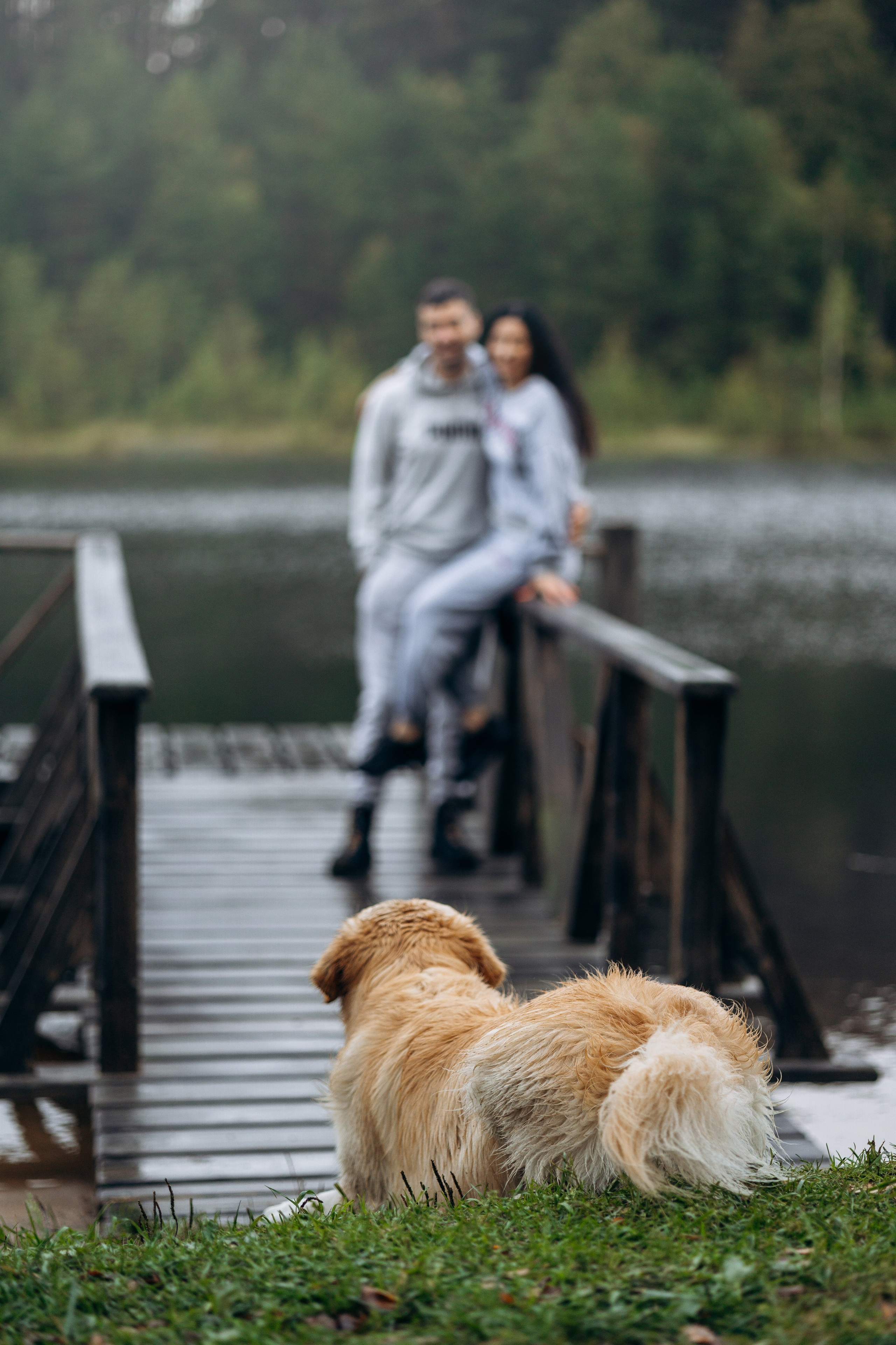 Лёва и его семья. Фотограф — Анималист | Санкт-Петербург