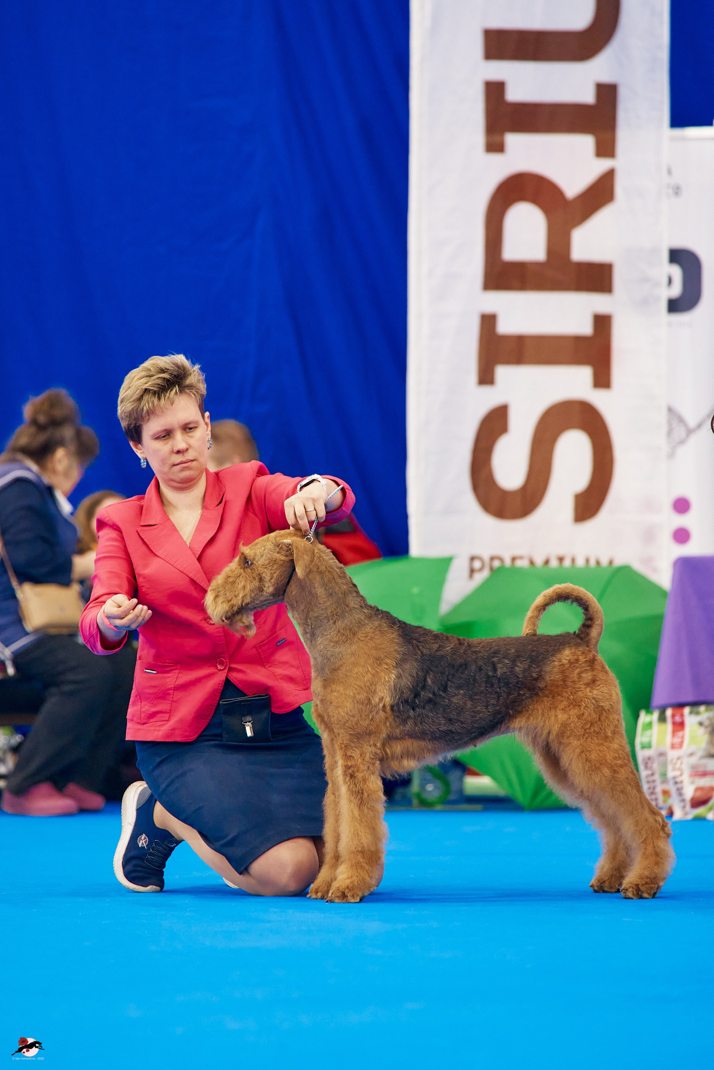 27.04.2025 | "Петербург-Элита 2025" & «КУБОК «ЭЛИТЫ»-2025»