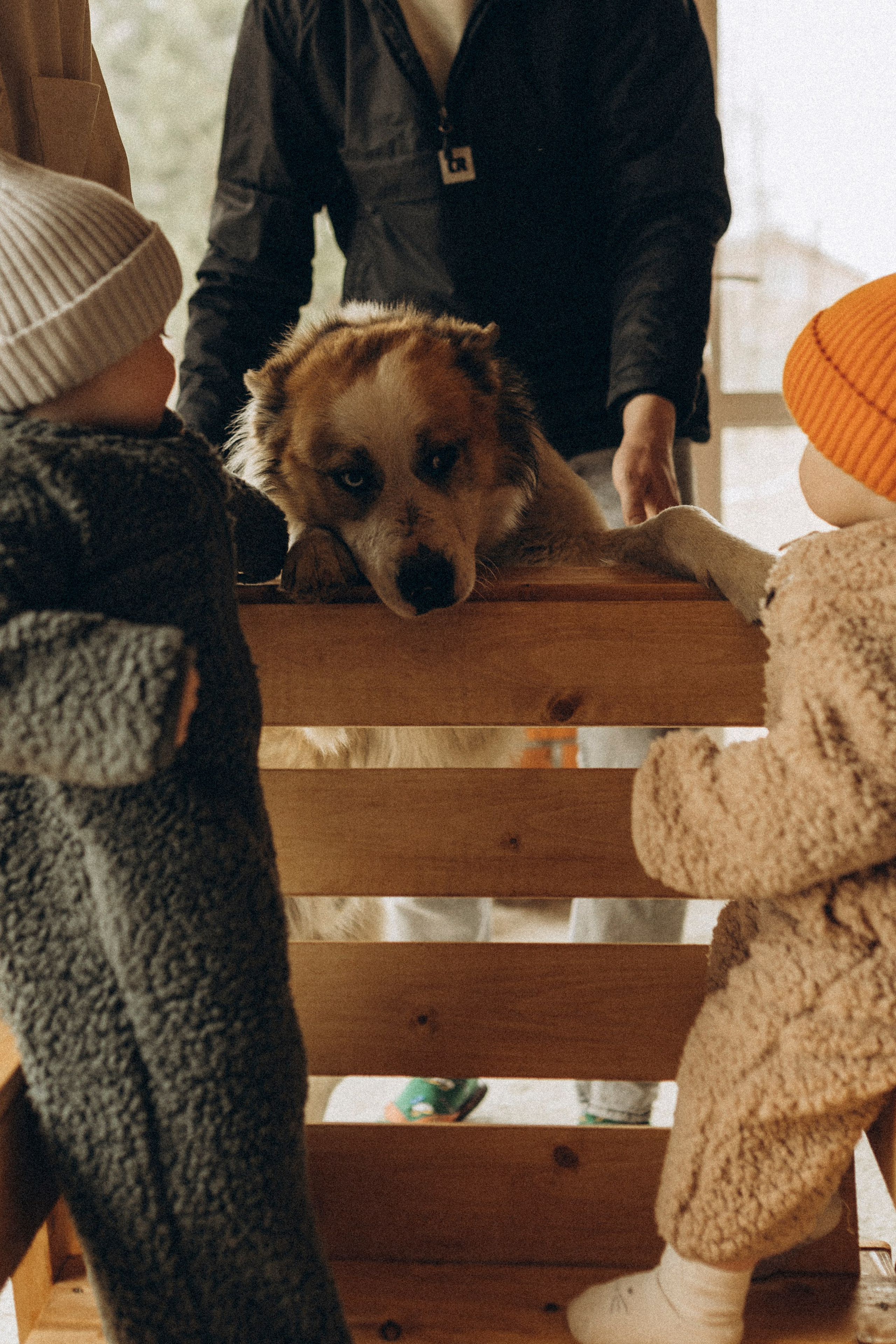 Домашняя семейная фотосессия. Семейный и детский фотограф в Рязани Васюгова Мария