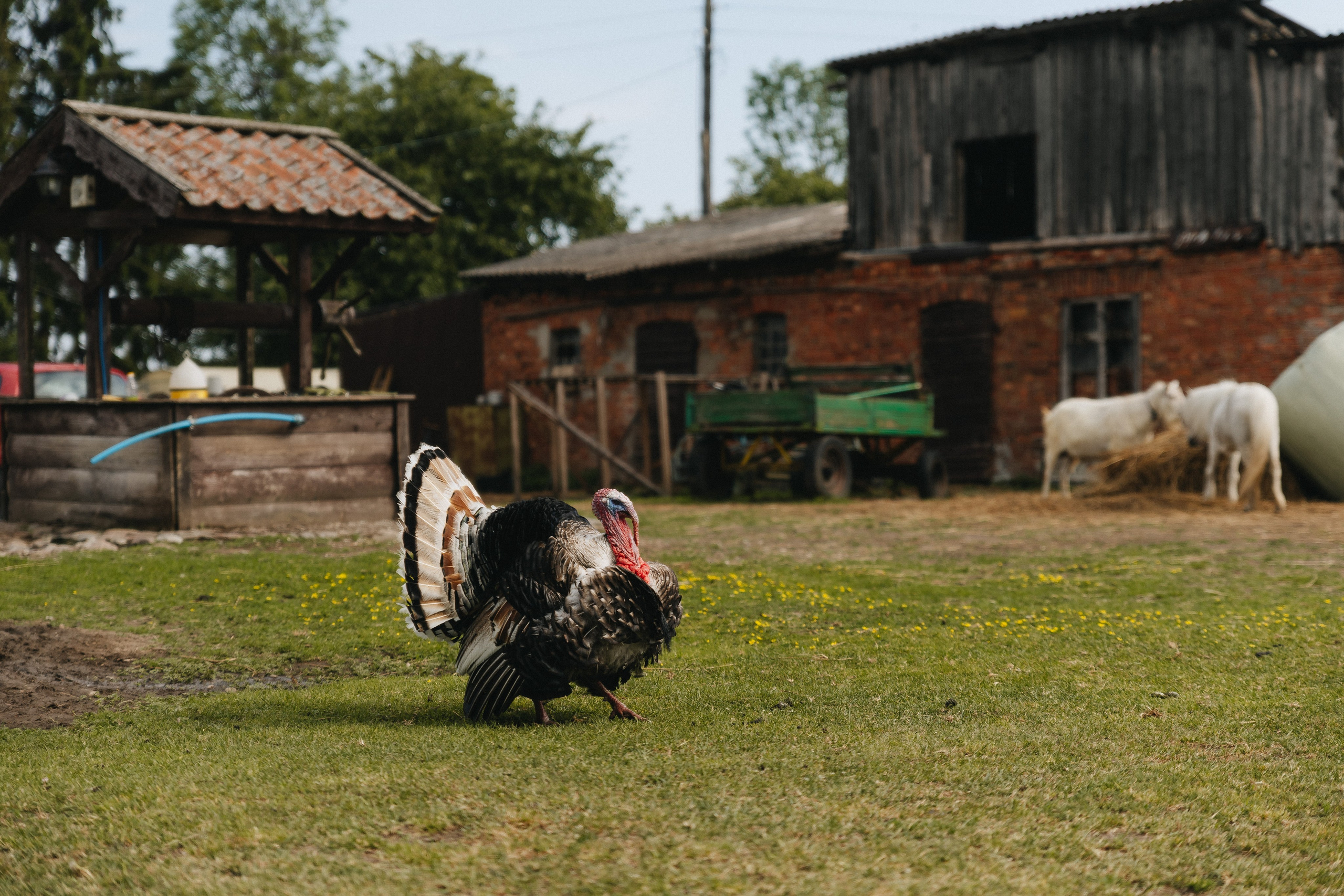 Тур — девичник LEF.TRAVEL.CLUB. KRIS KRUPINNIKOVA