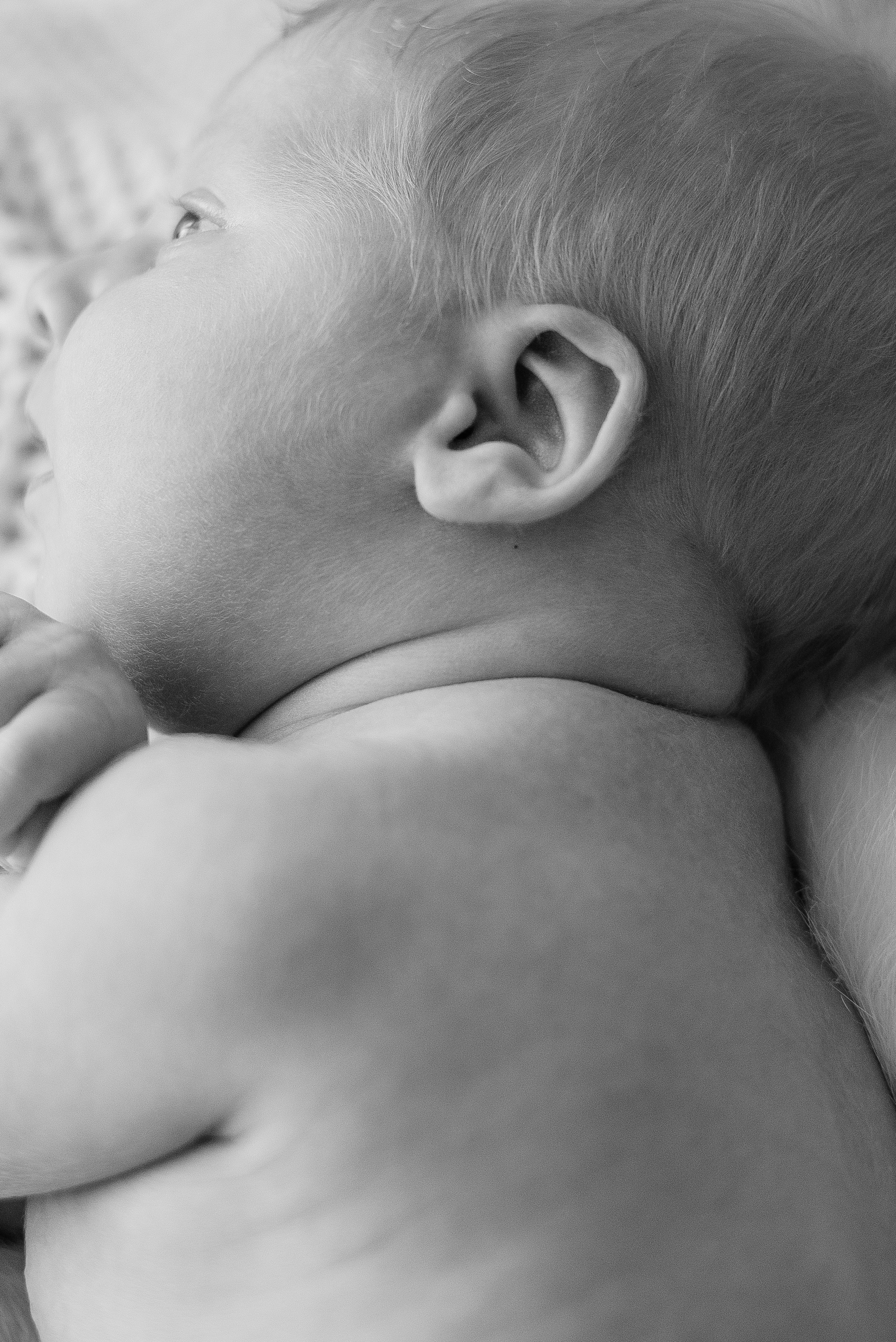 Александр. Семейный и детский фотограф Иваново Ксения Азаренкова