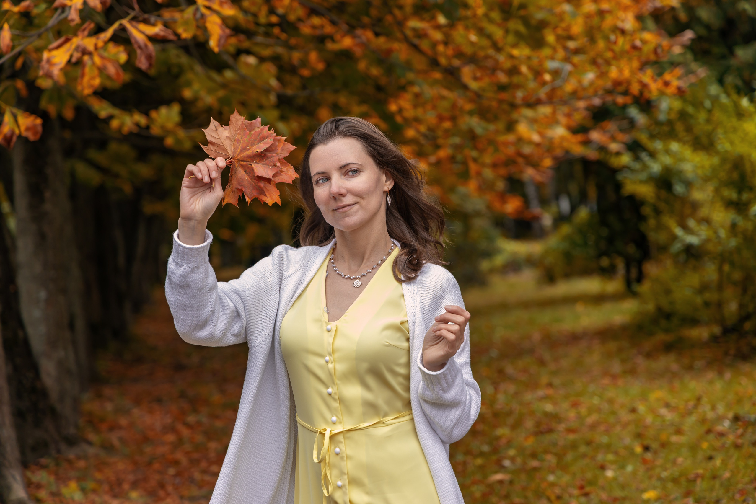 Жёлтая осень и ретро-велосипед. Репортажный, семейный и студийный фотограф в Москве Демин Алексей