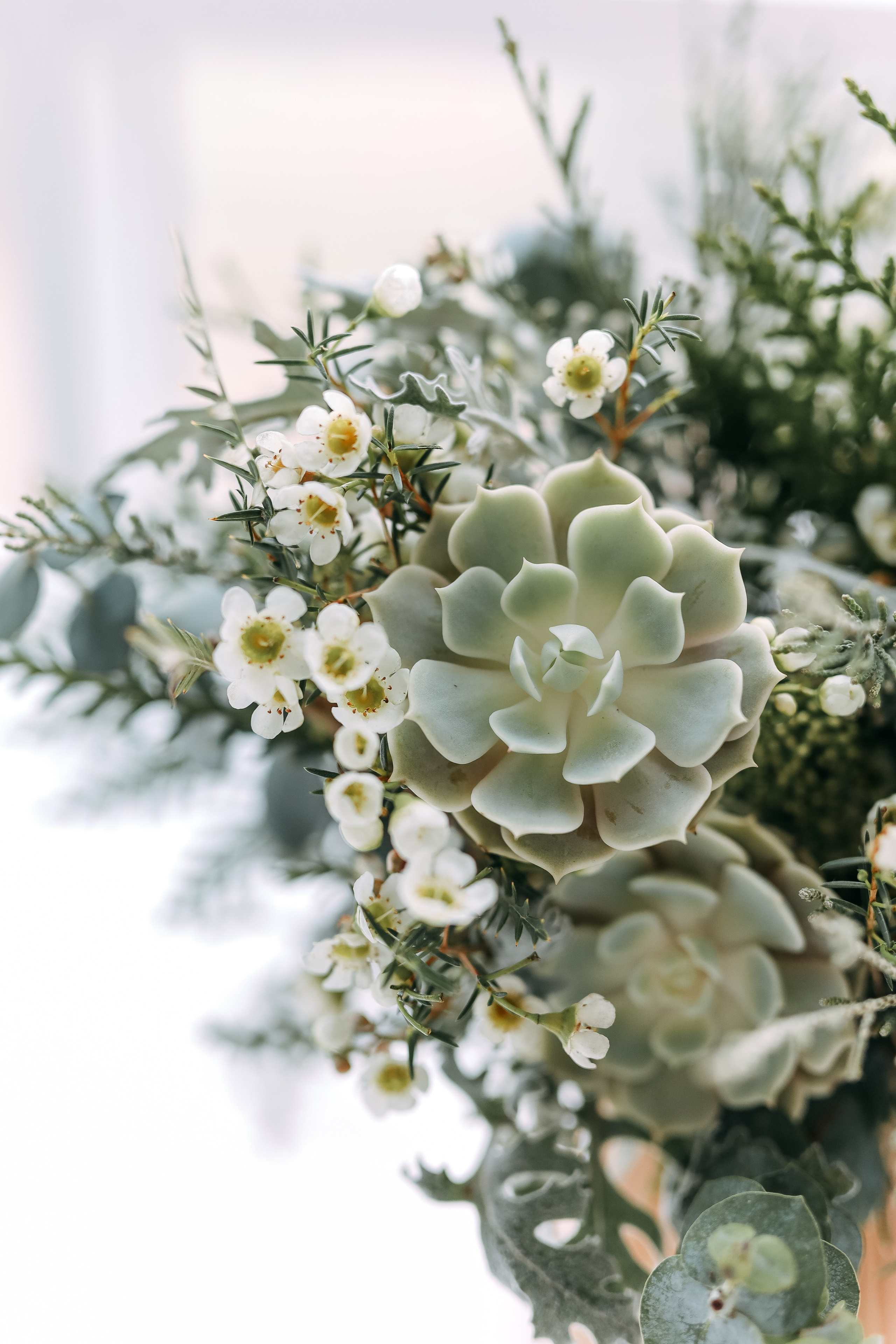 Софья и Константин. Фотопродакшн продающего контента