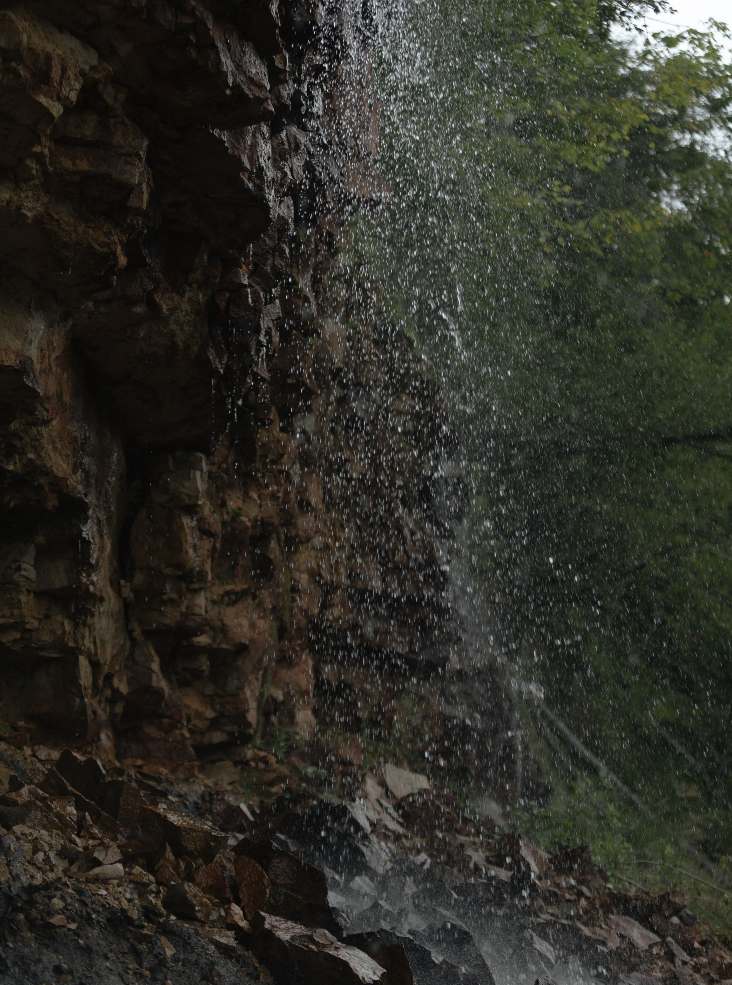 Красота в природе. Портретный фотограф в Санкт-Петербурге Катя Протасевич