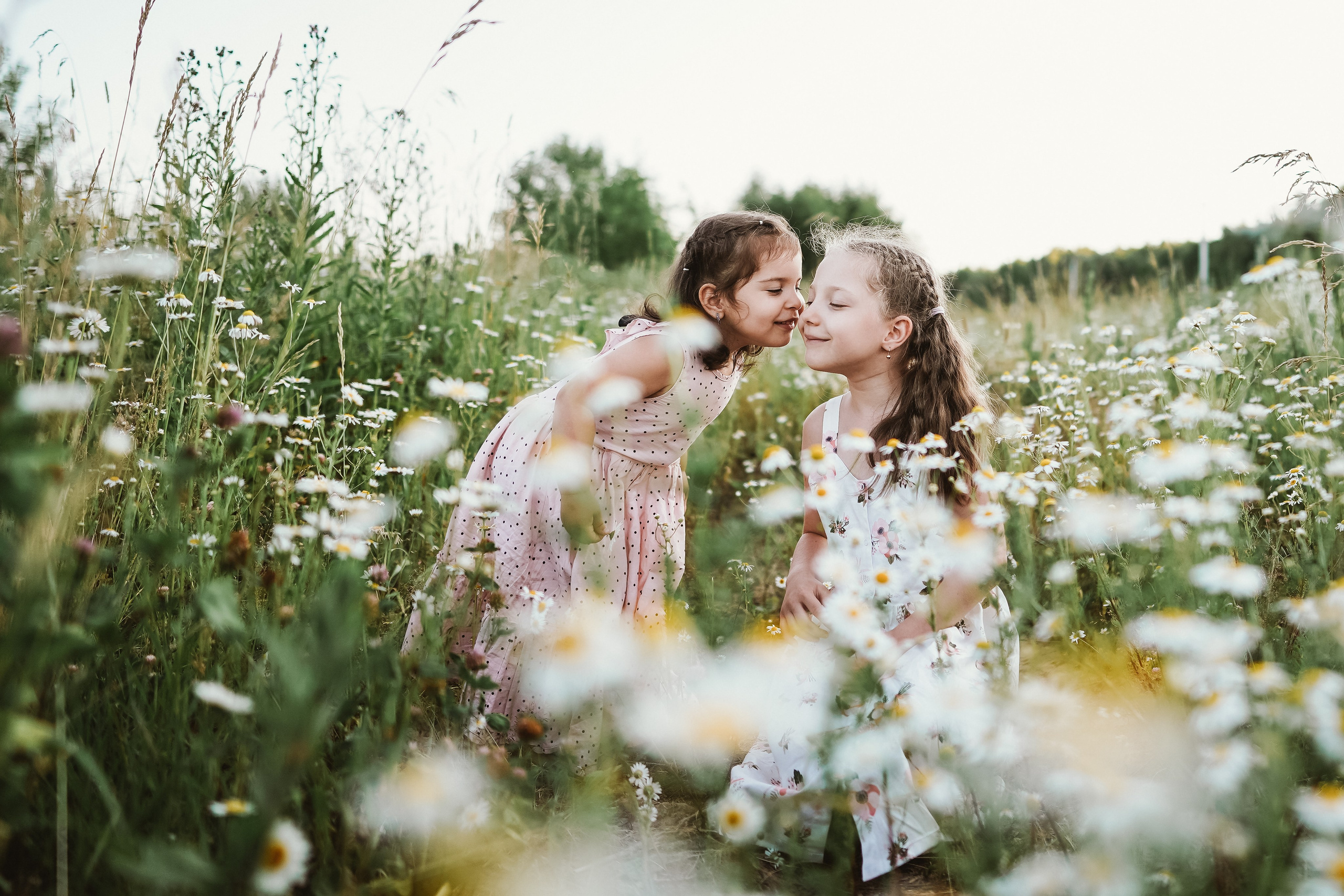 Аня и Даша в ромашках. Семейный и детский фотограф в Москве (Тинао) Галкина Алевтина