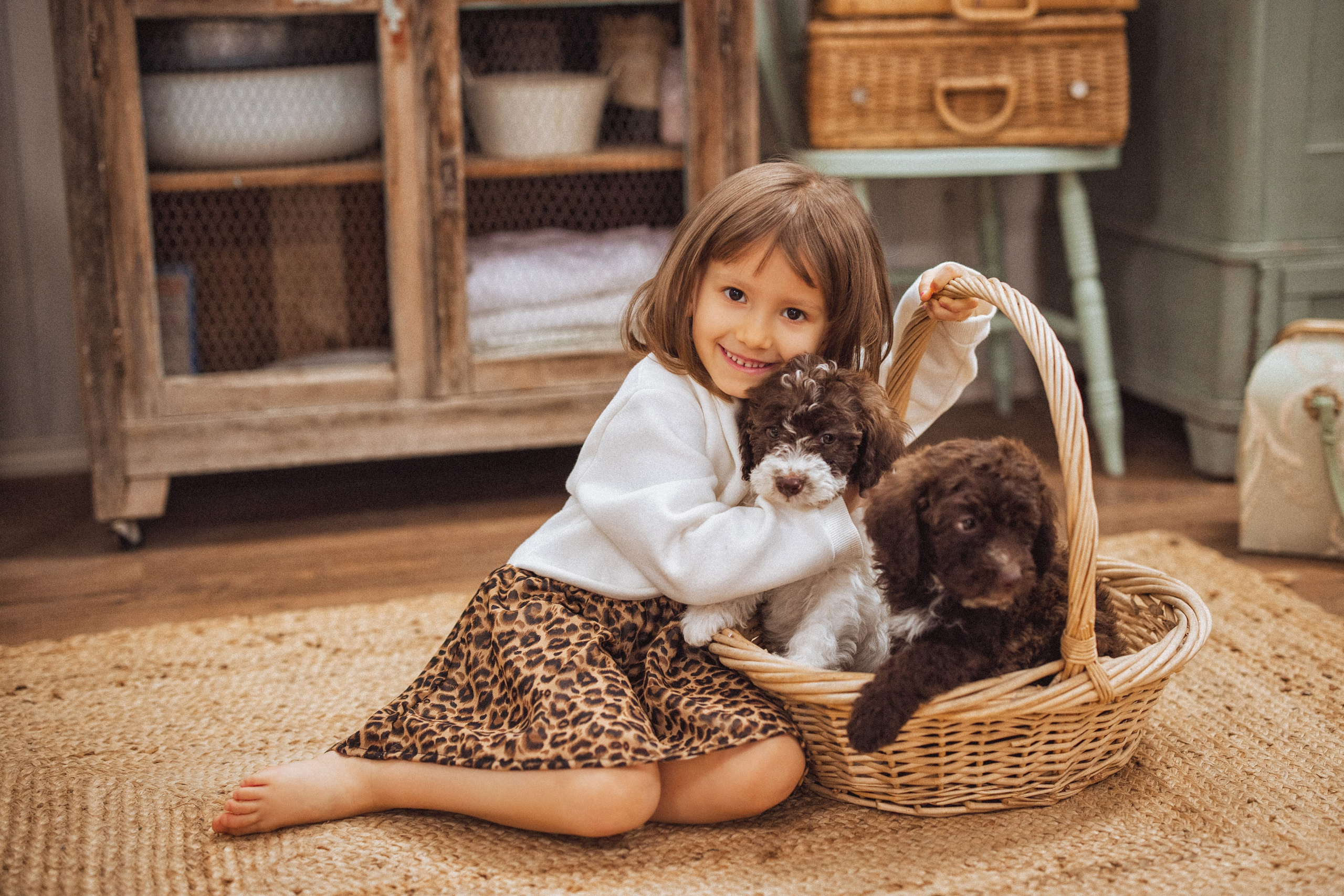Фотосессия с щенками Лаго́тто-романьо́ло, в Винтажной фотостудии город Краснодар. Семейный и детский фотограф в Краснодаре Анна Трашкова