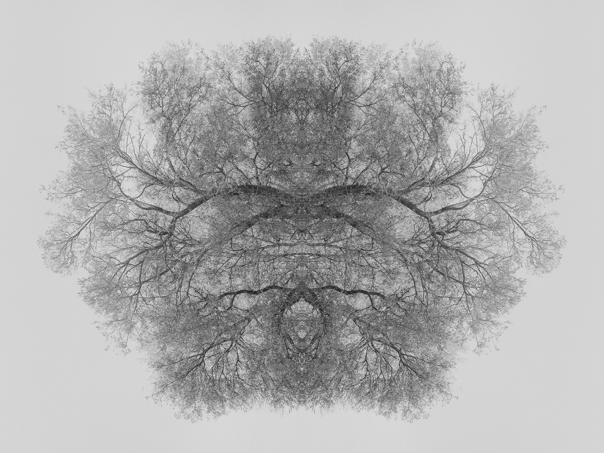 Острова. Анна Порошина — междисциплинарный художник