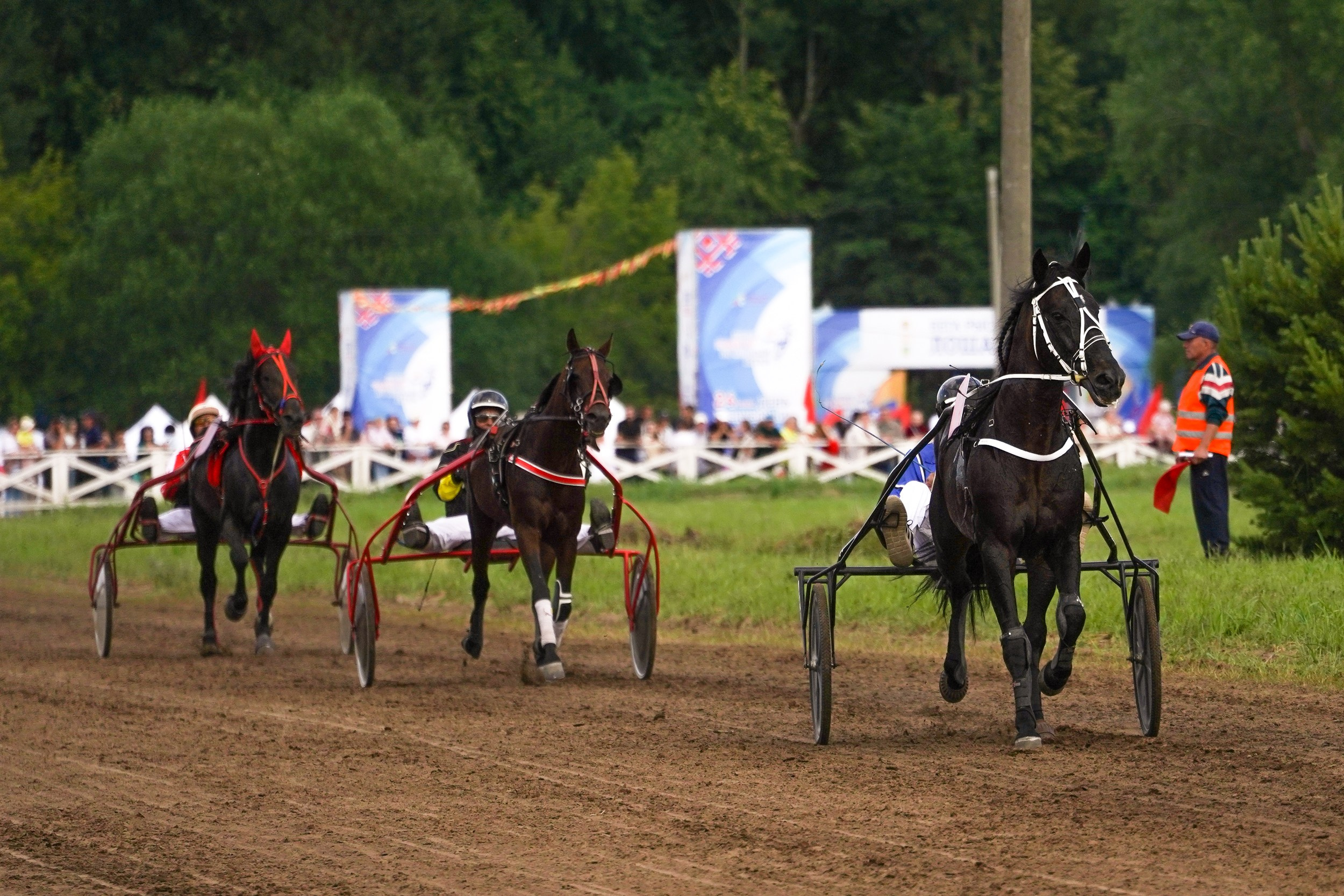 III конные бега на Кубок Главы Чувашии. Фотограф-анималист, портретный фотограф в Чебоксарах Мария Садыкова