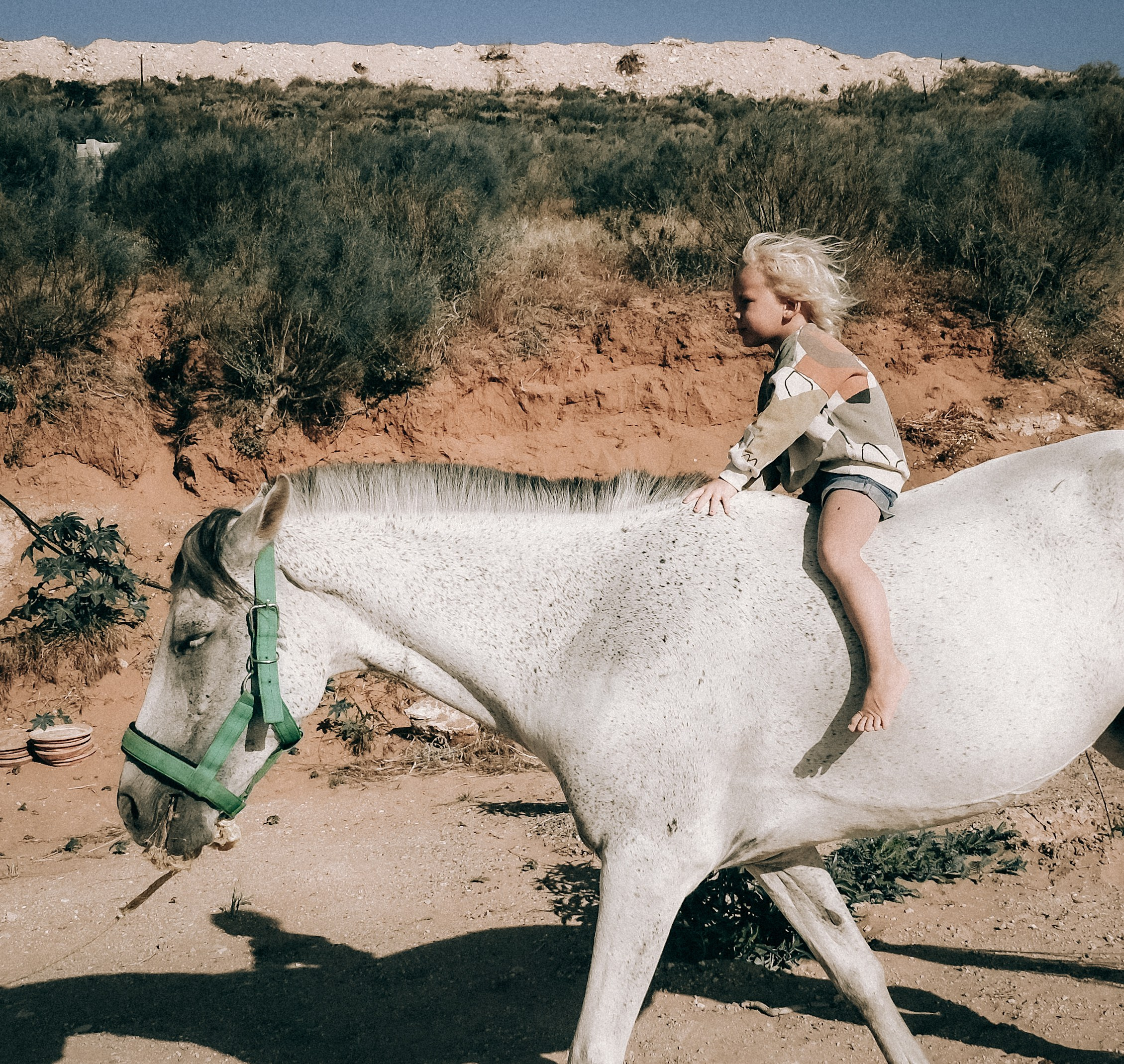 Семейная съемка. Olga Popova — Photographer in Morocco