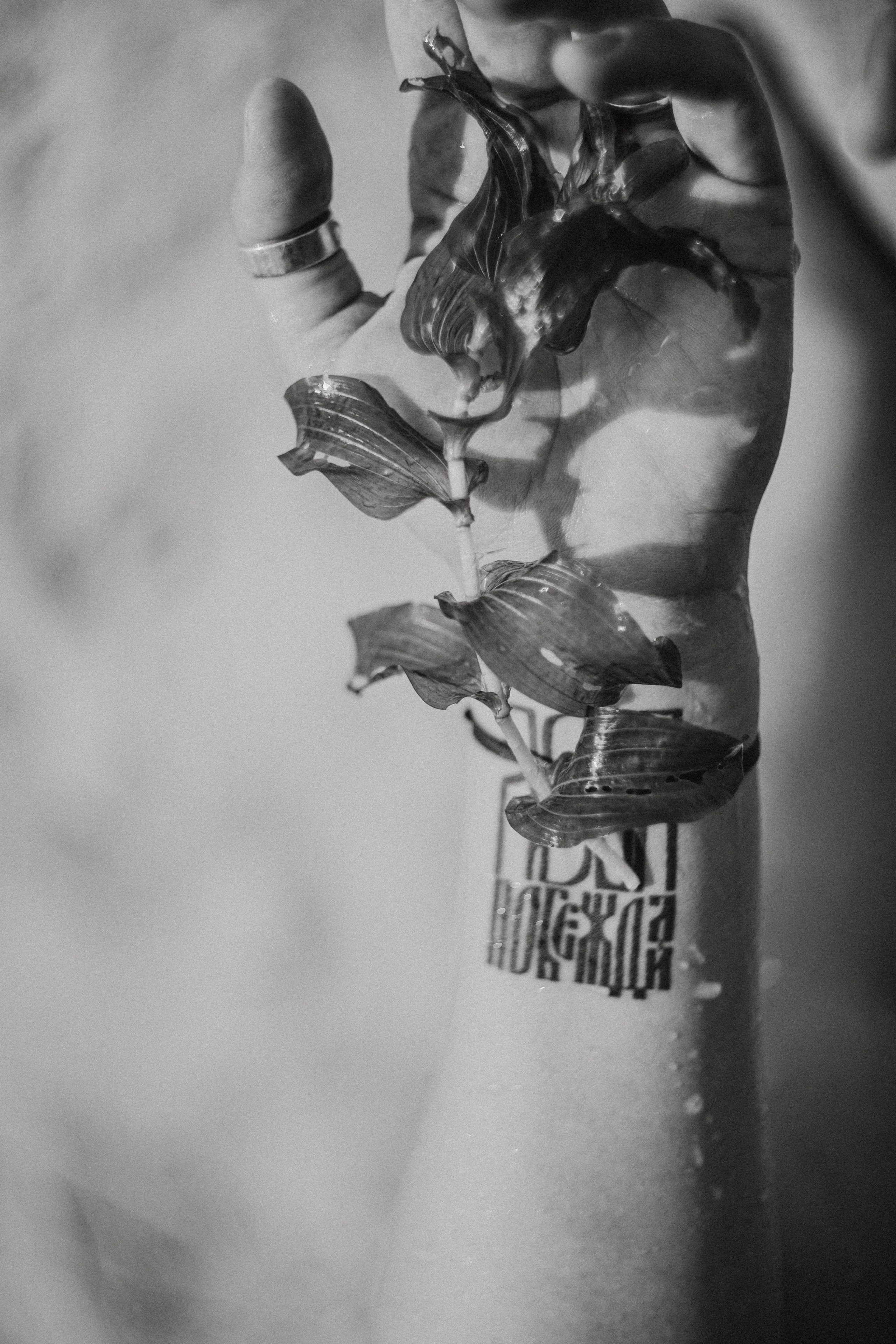 ФотоТуса ГОРЕ-МОРЕ. Фотограф в Нижнем Новгороде