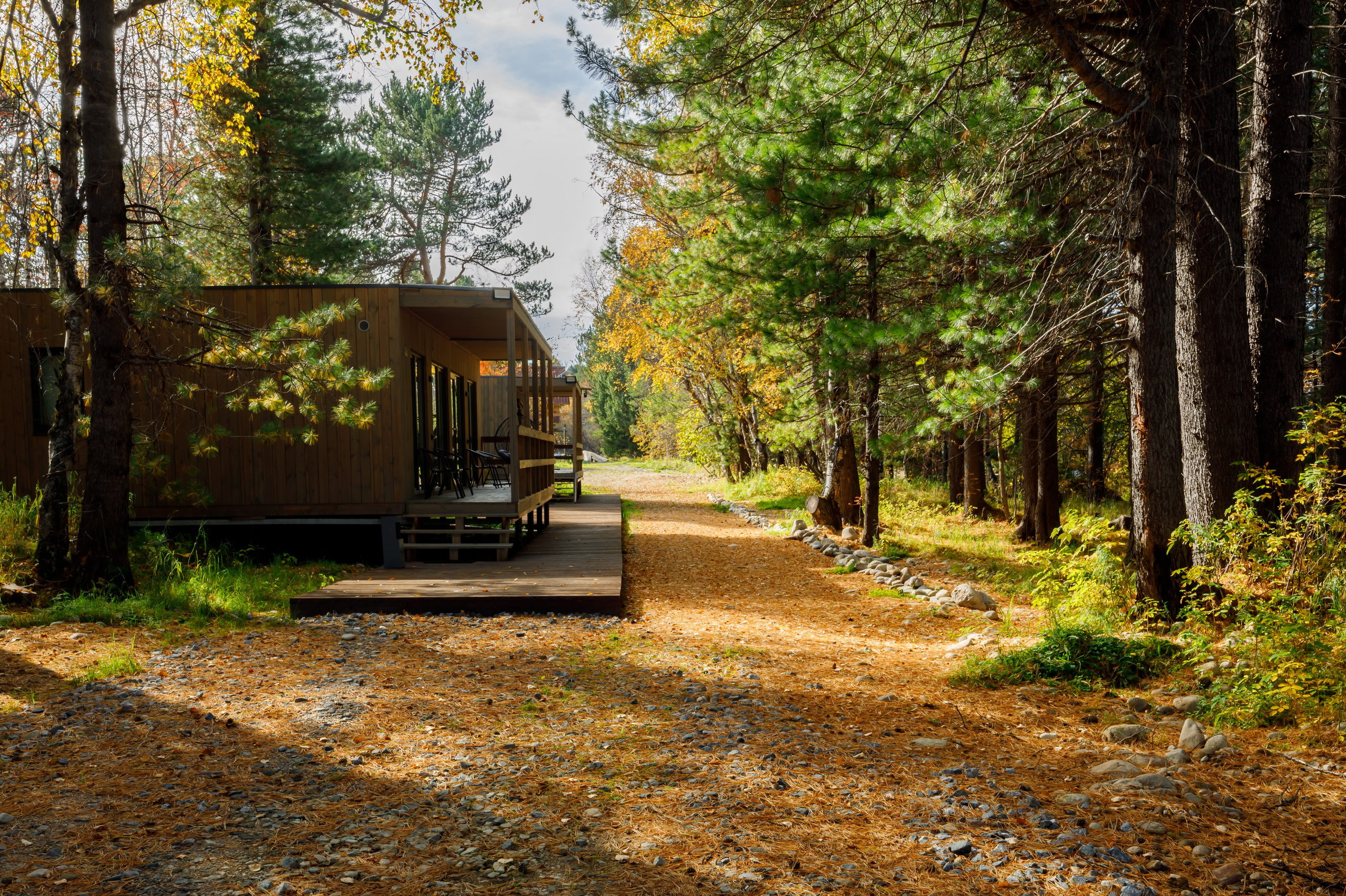Эко — парк «Танхой». Осенняя съемка. Интерьерный, предметный и контент фотограф в Иркутске Наталья Карпова