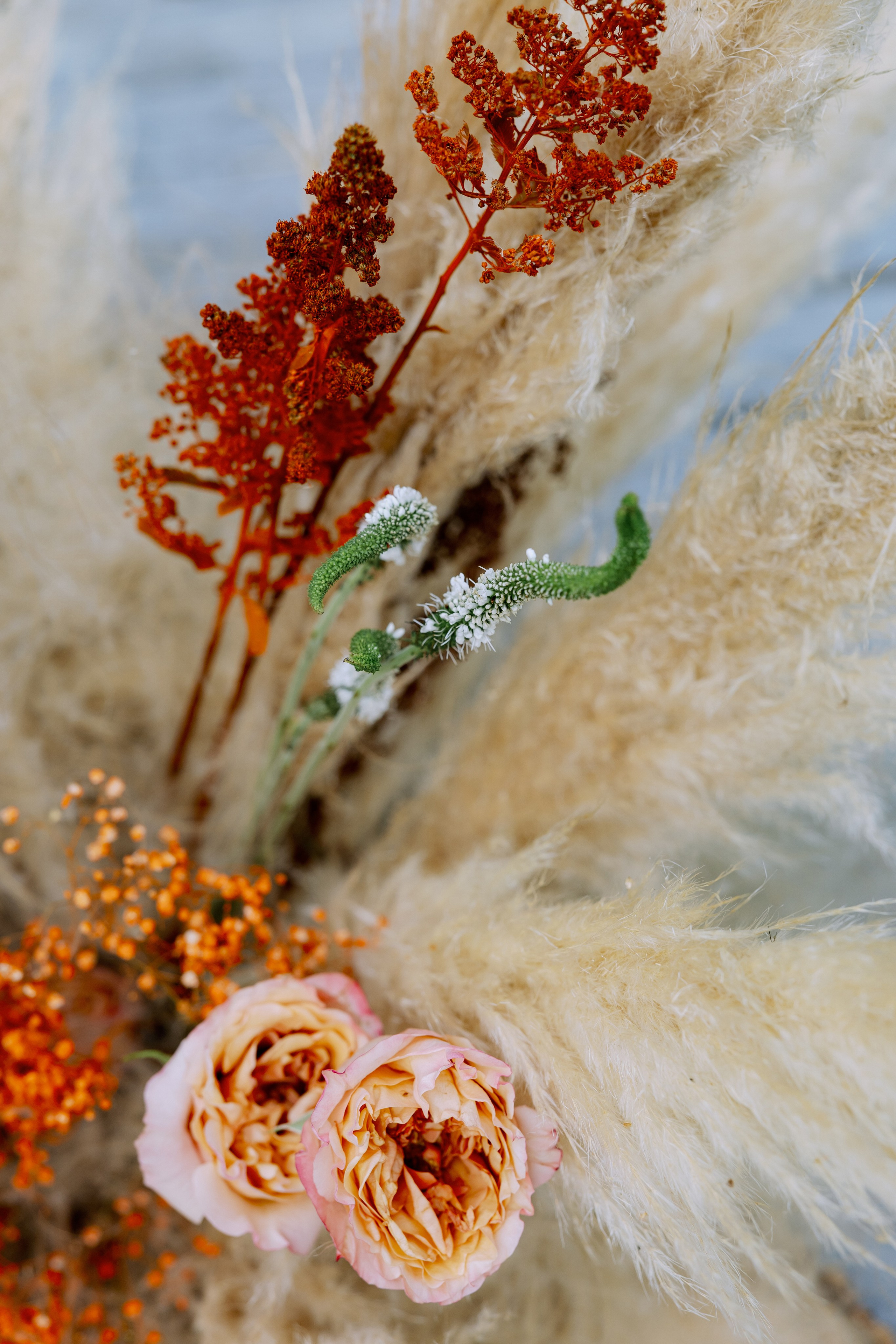 10.08.2023 Дмитрий и Виктория. Фотограф в Красноярске