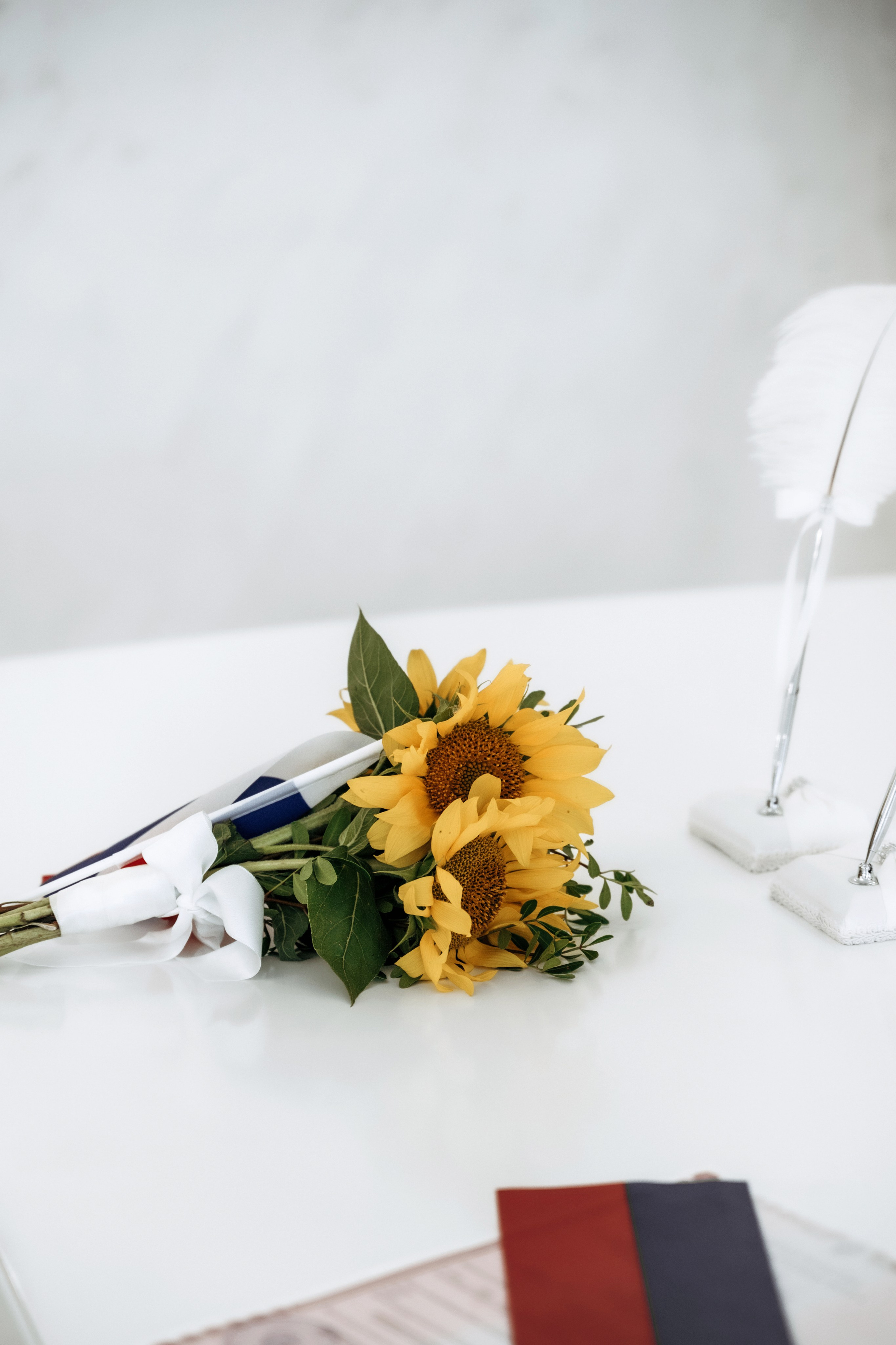 Андрей и Галина. Семейный фотограф в Белгороде Амелина Алина