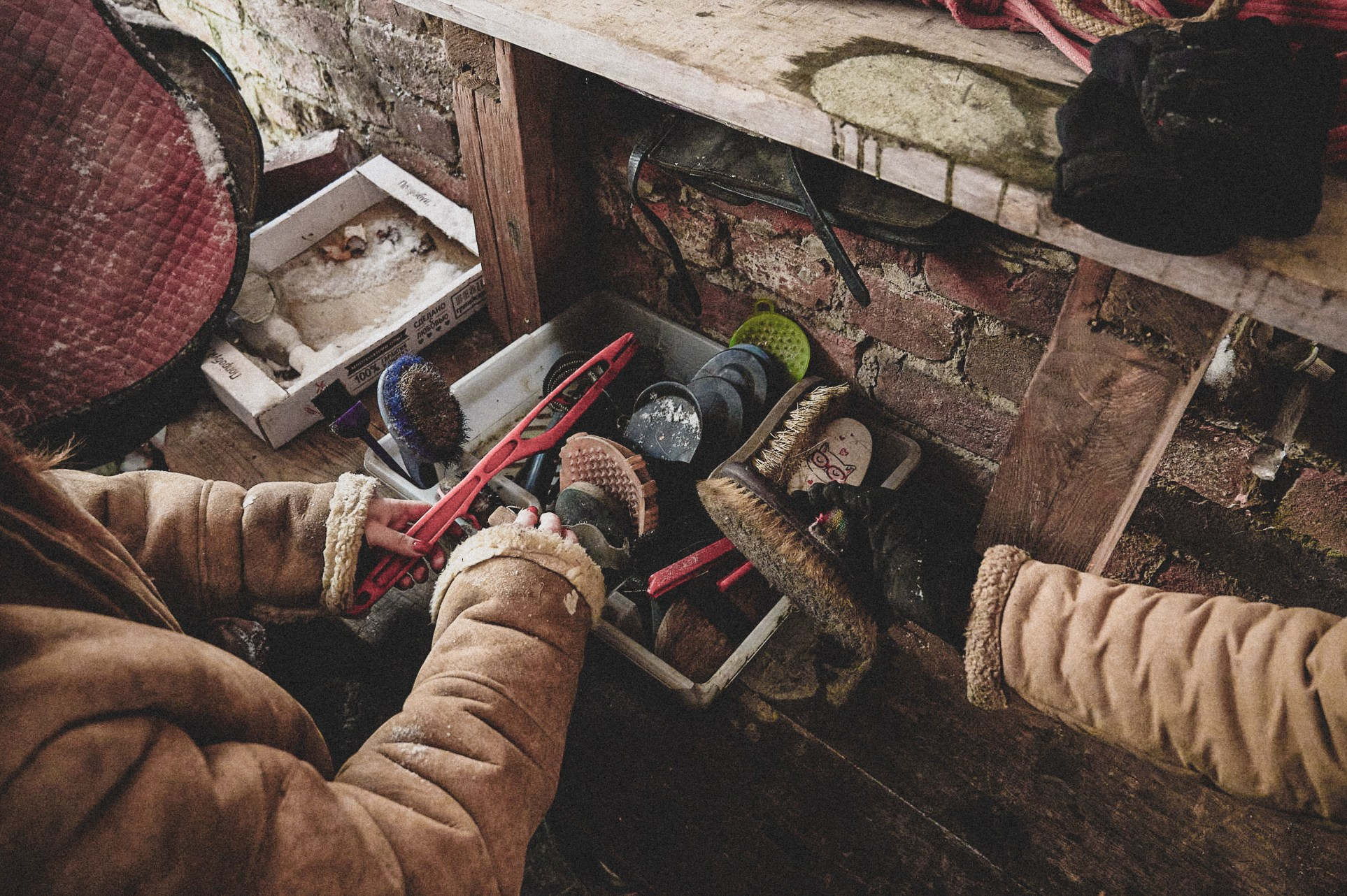 Конюшня. Репортажный фотограф в Санкт-Петербурге Диана Ларченкова