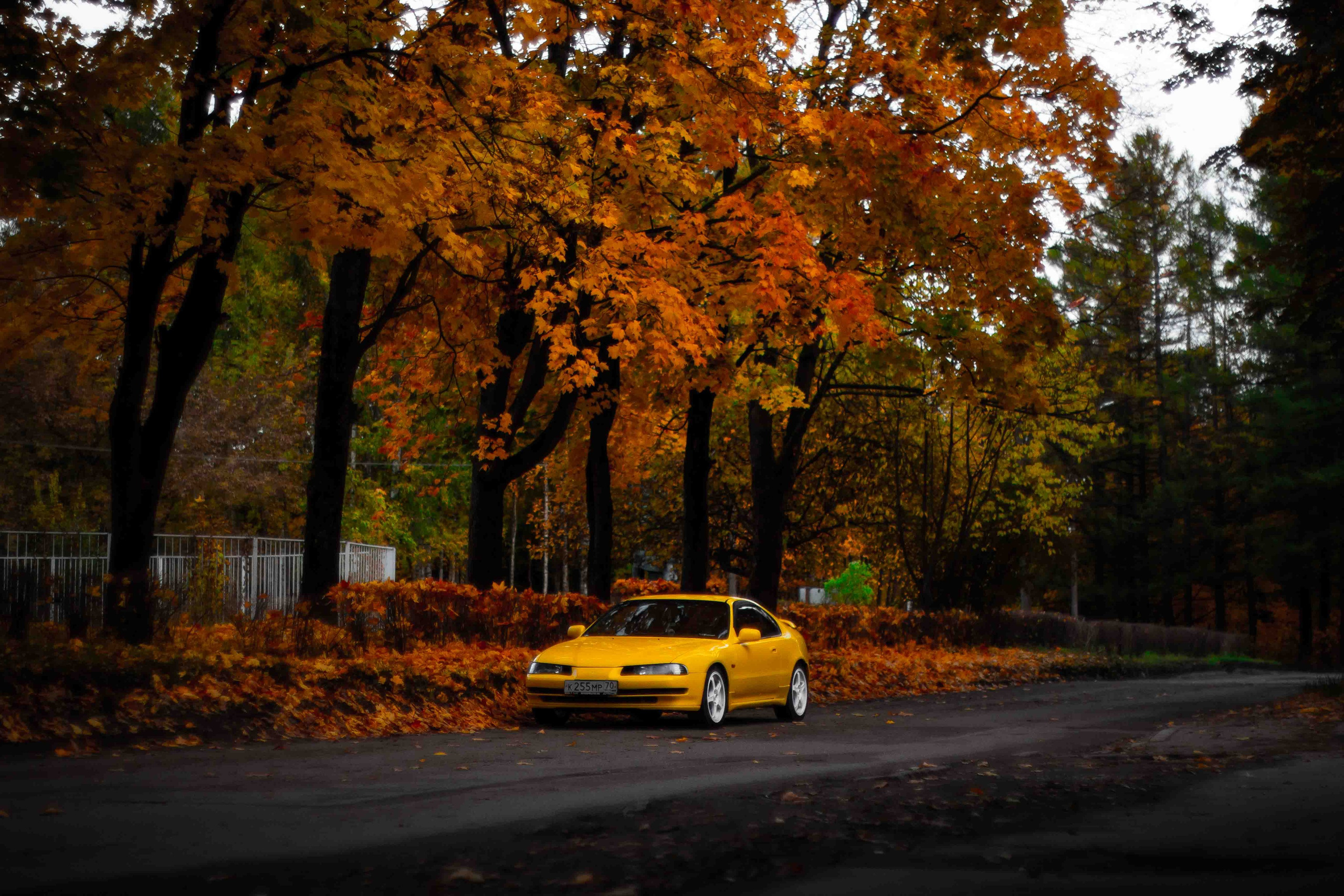 Осеннее настроение. Александр Попов