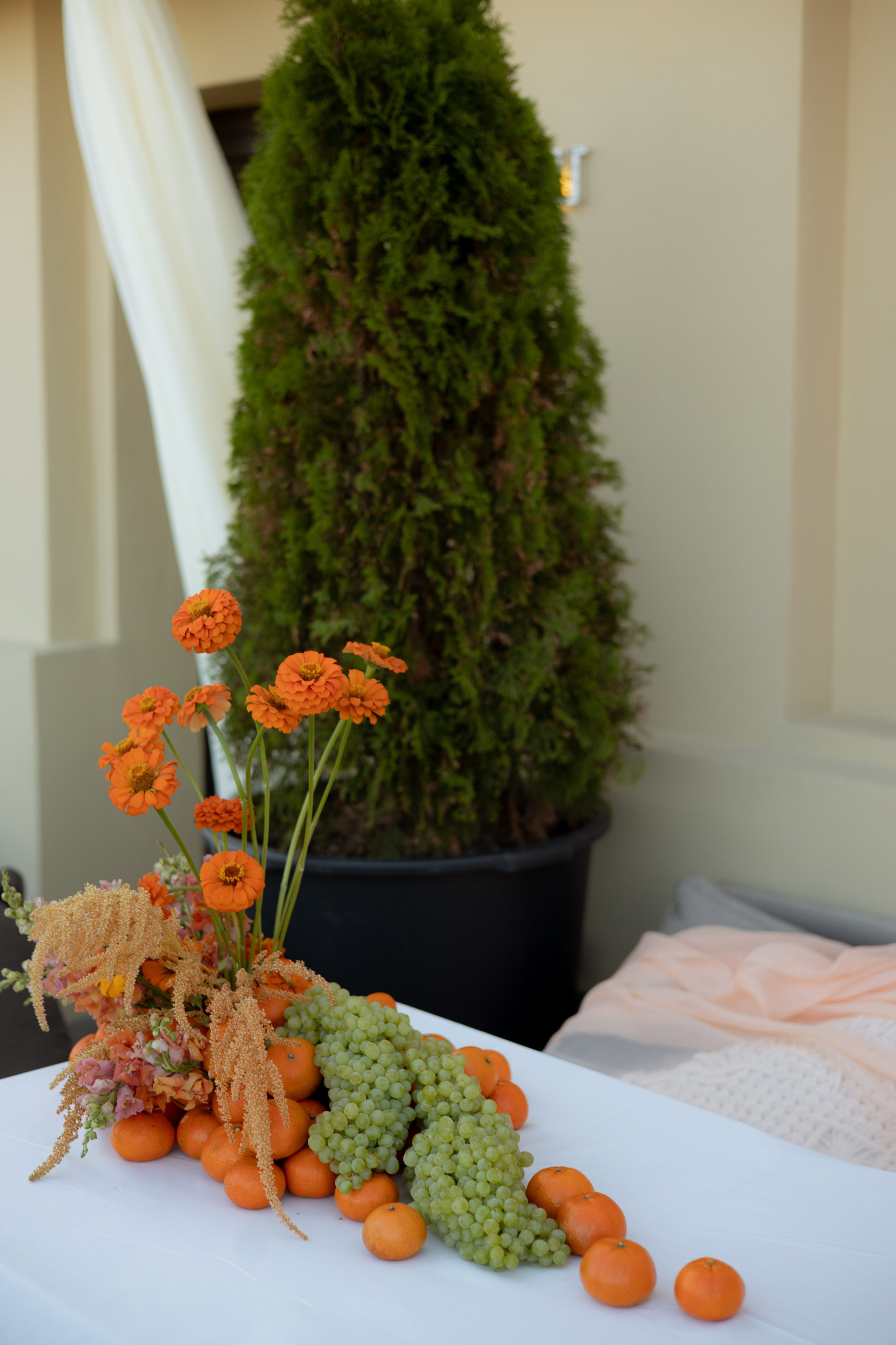 ДР Дианы. Пекин. Оформление свадеб, декор свадеб Вера Маркова, Москва