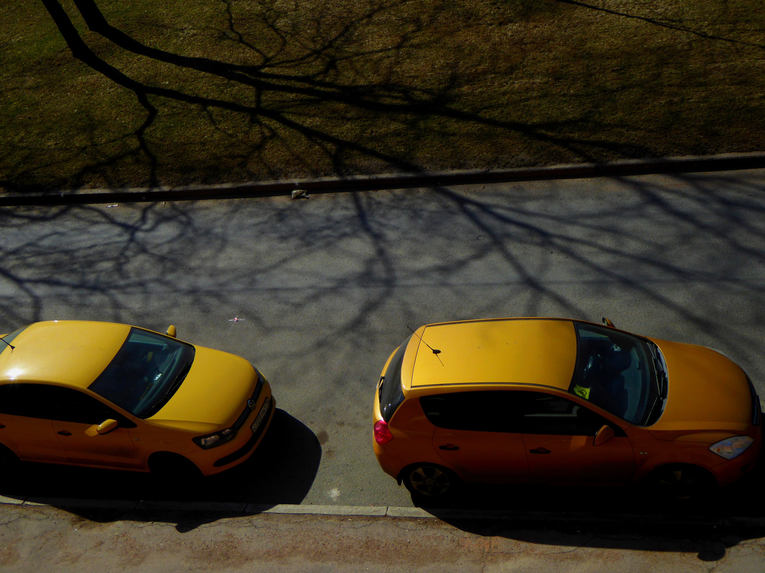 СПБ СТРИТ ______/ \__. СПБНЛО