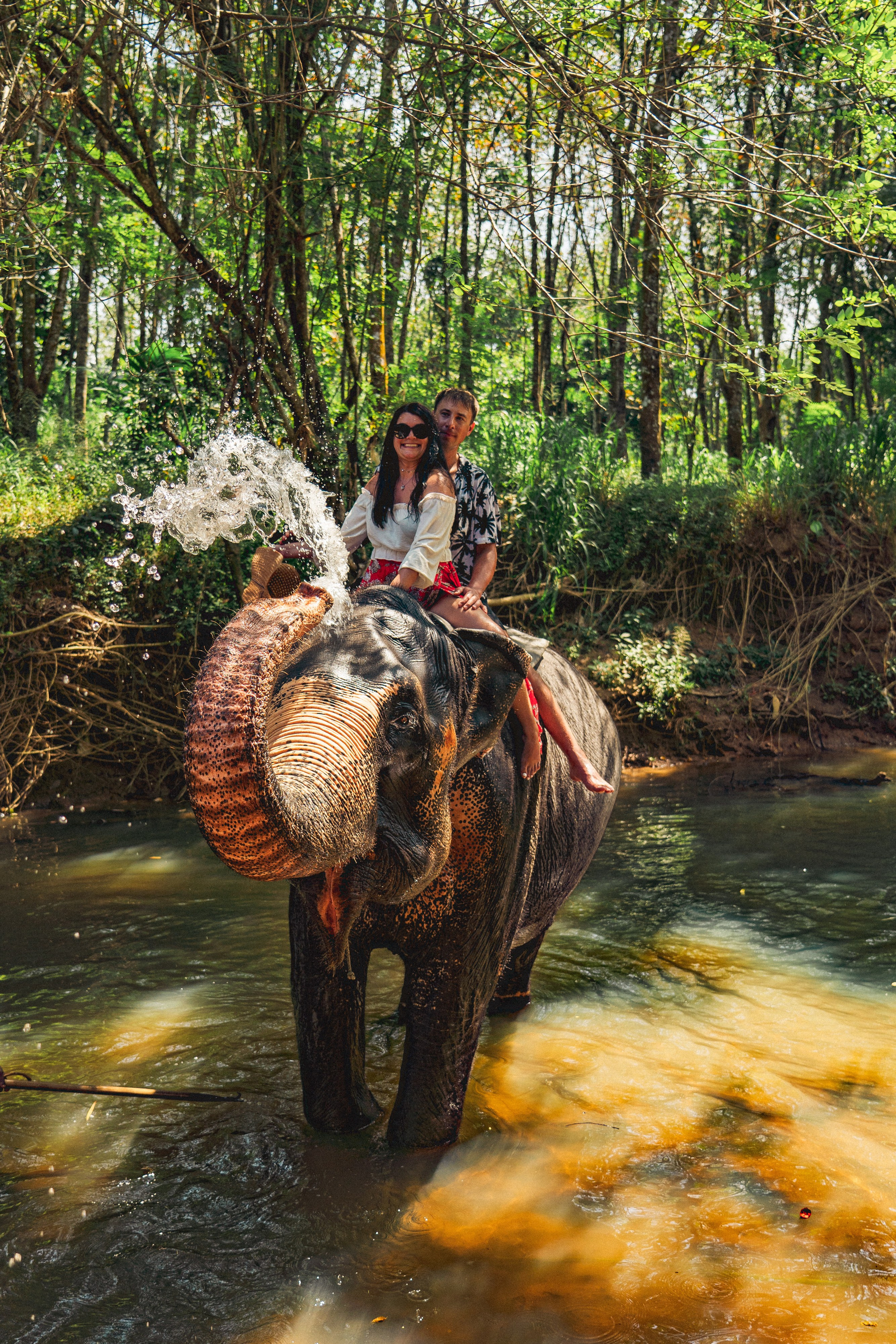 Bathing with elephants in Pinnawala, Botanical Garden