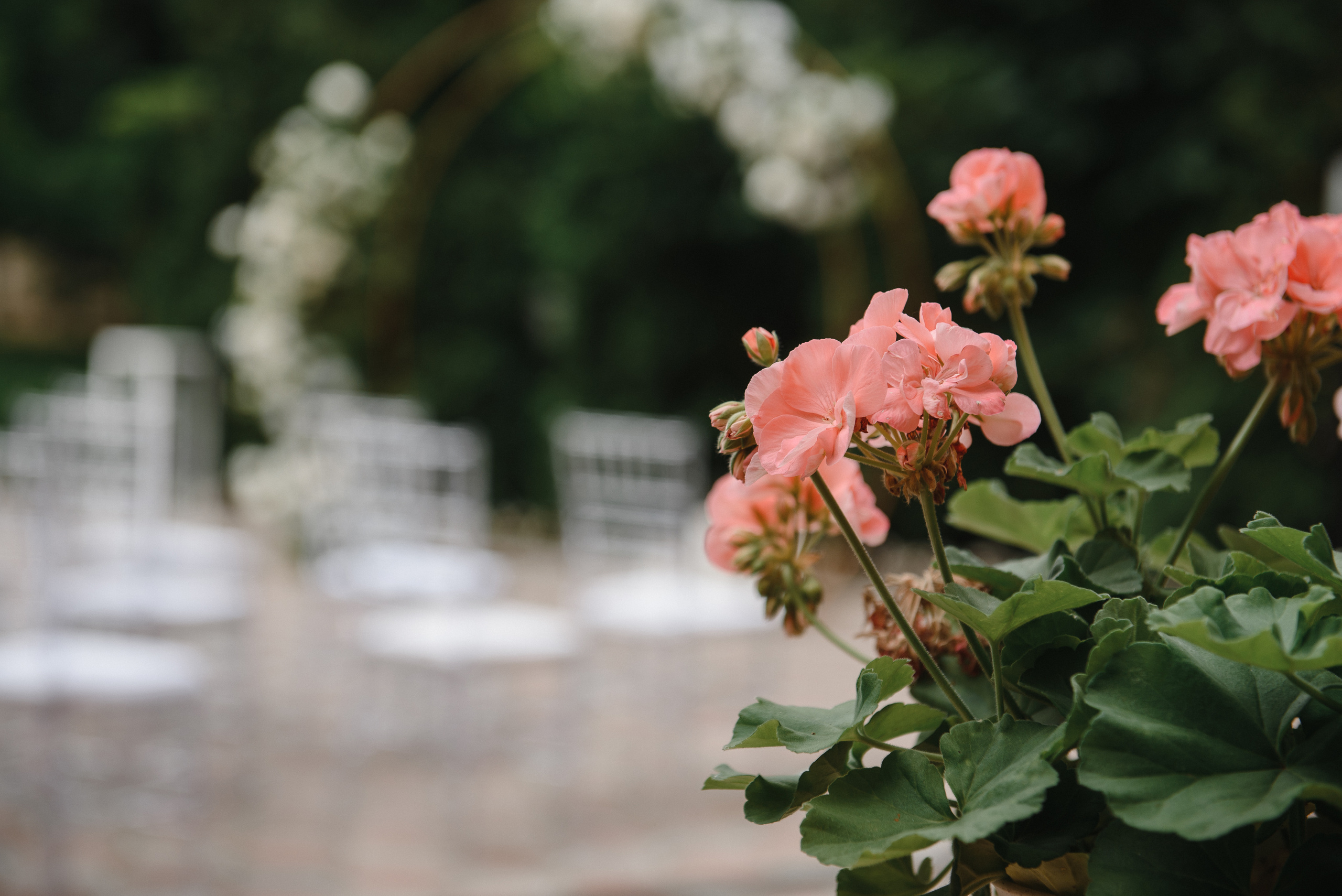Оксана и Александр. Светлана Варфоломеева, женский и свадебный фотограф в Саратове