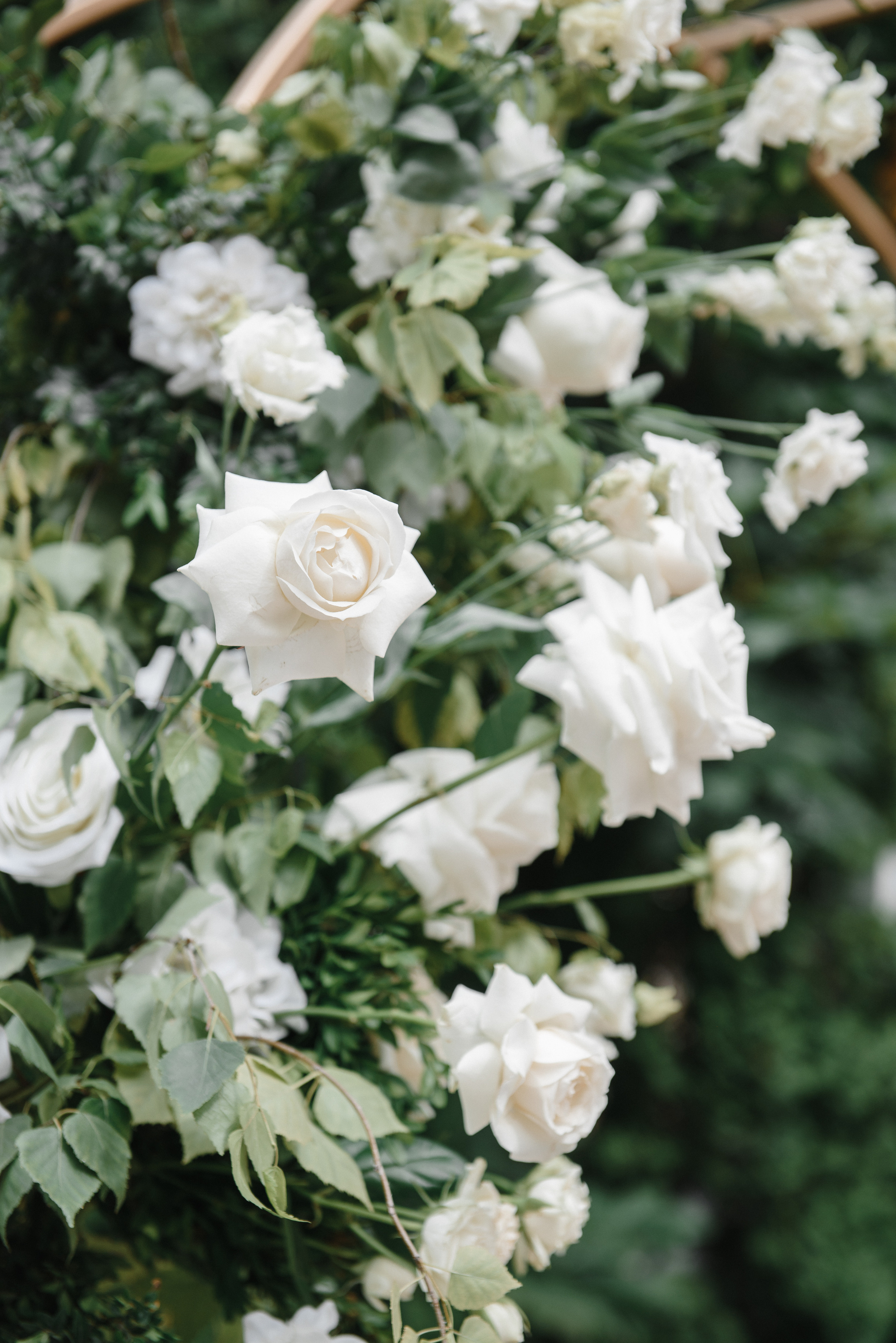 Оксана и Александр. Светлана Варфоломеева, женский и свадебный фотограф в Саратове