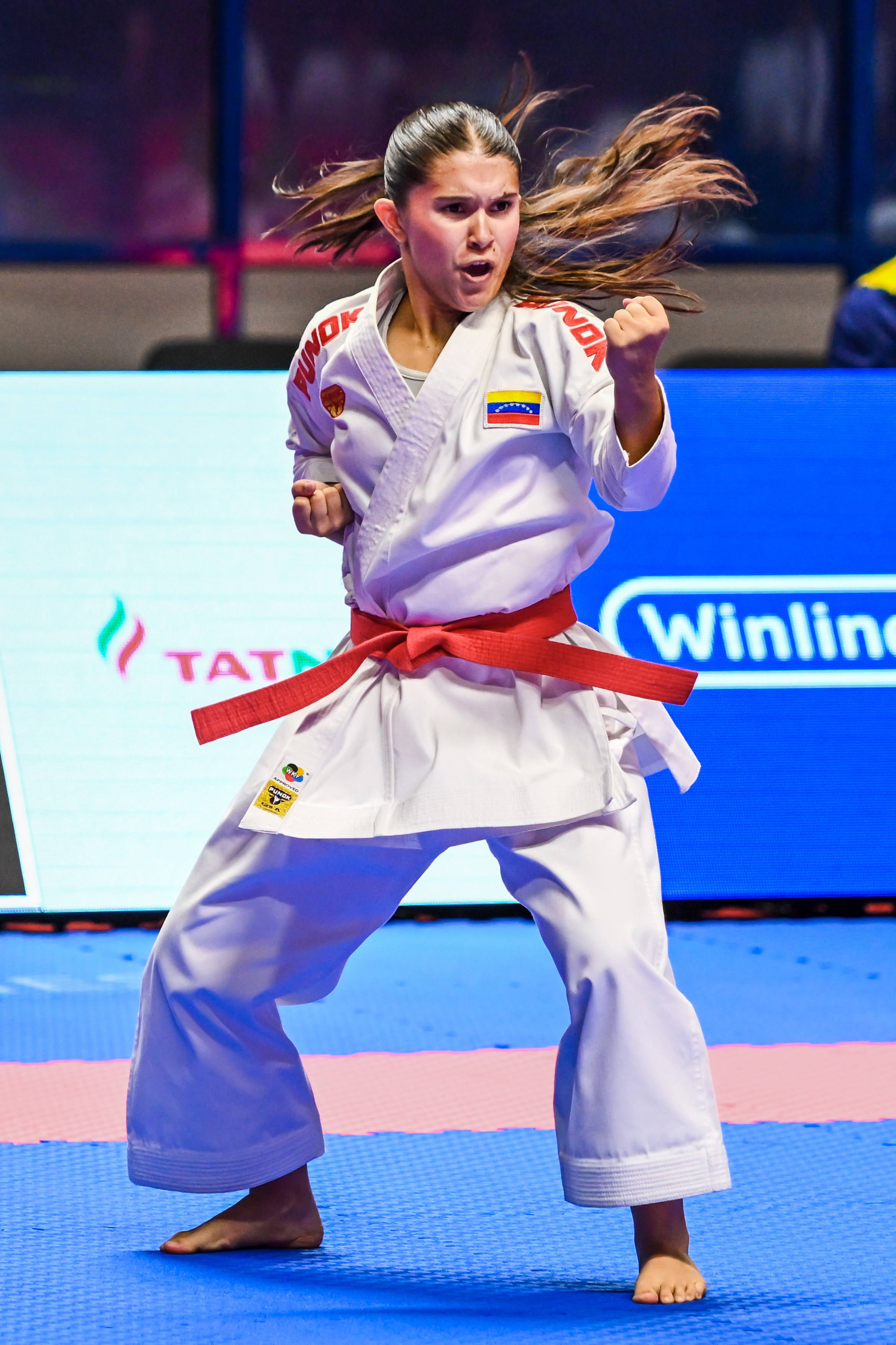 Каратэ «Спортивные игры стран БРИКС». Спортивный и репортажный фотограф в Казани Вячеслав Сатонин