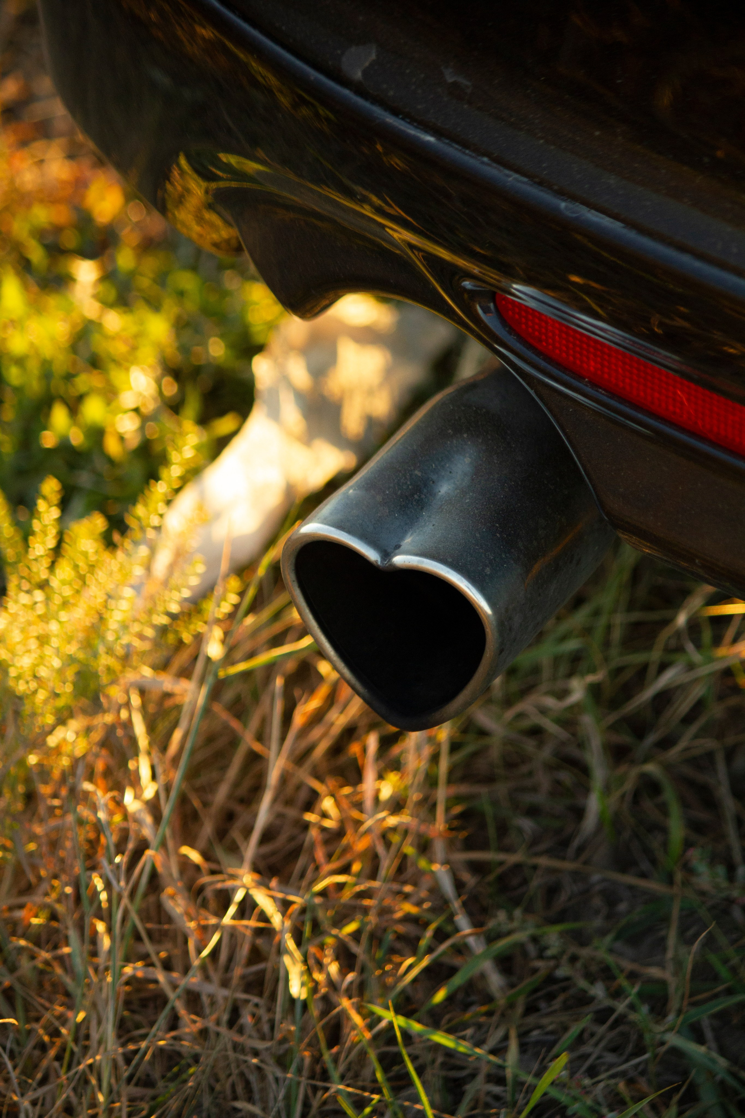 EMMA 22.09.24. Malenkyia