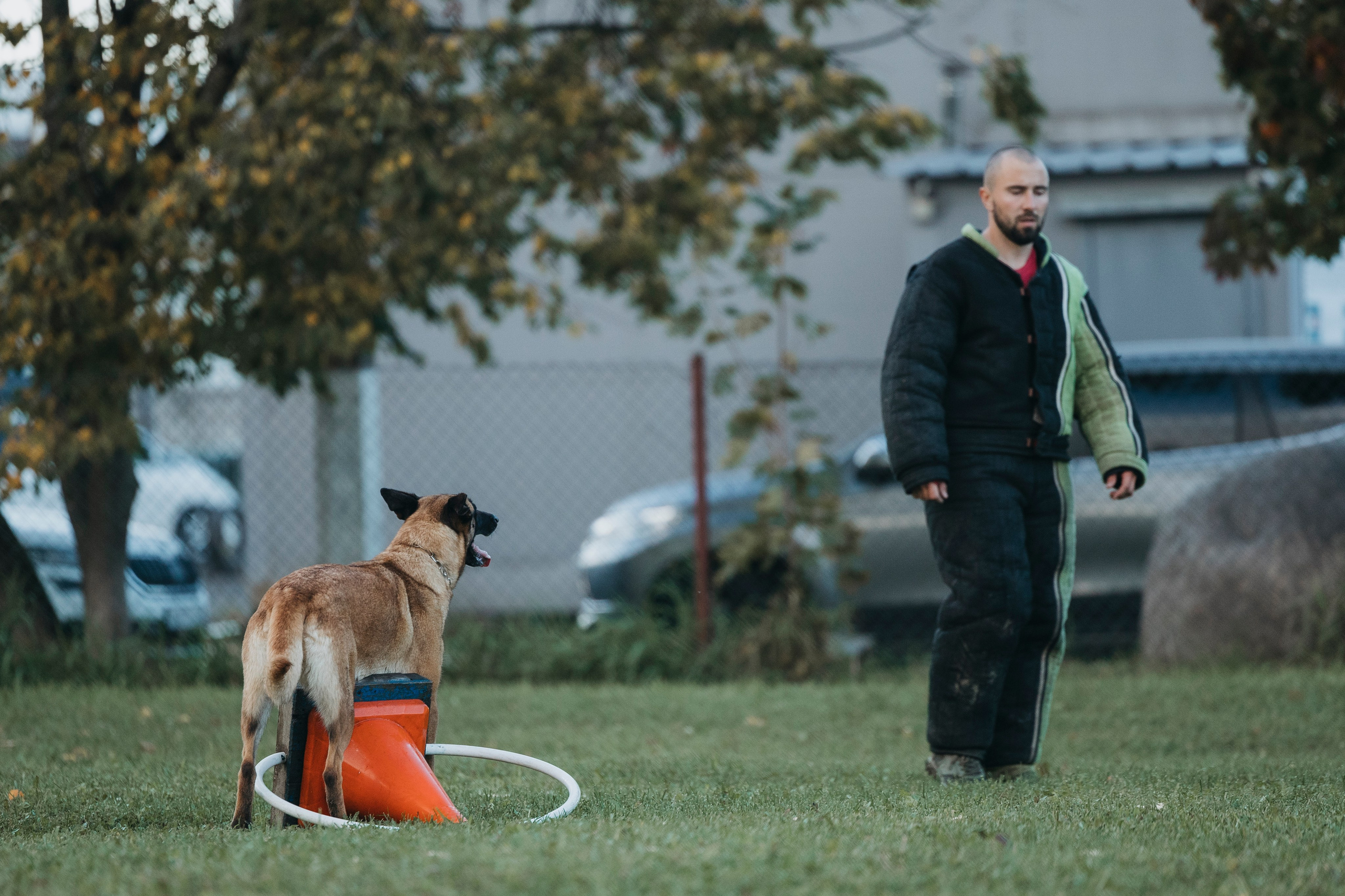 Испытания по мондьорингу г. Пушкин 29.09.2024. Фотограф-анималист Анна Маринич