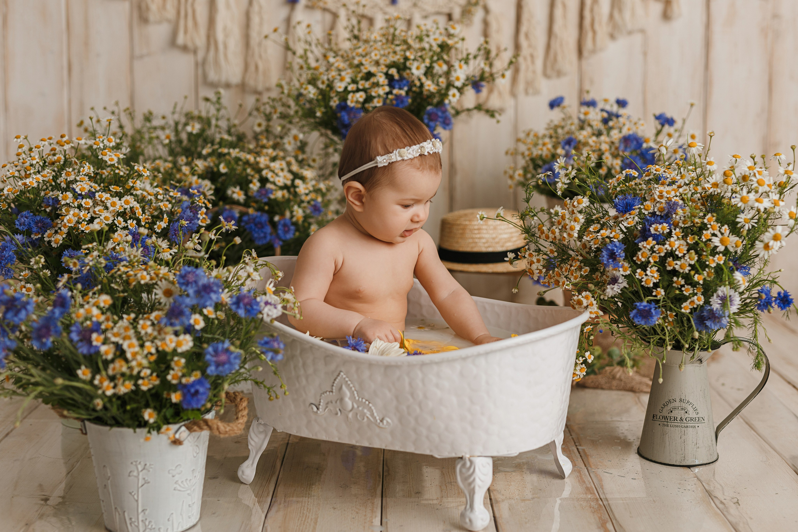 Фотопроекты. Профессиональная детская и семейная фотостудия в Краснодаре