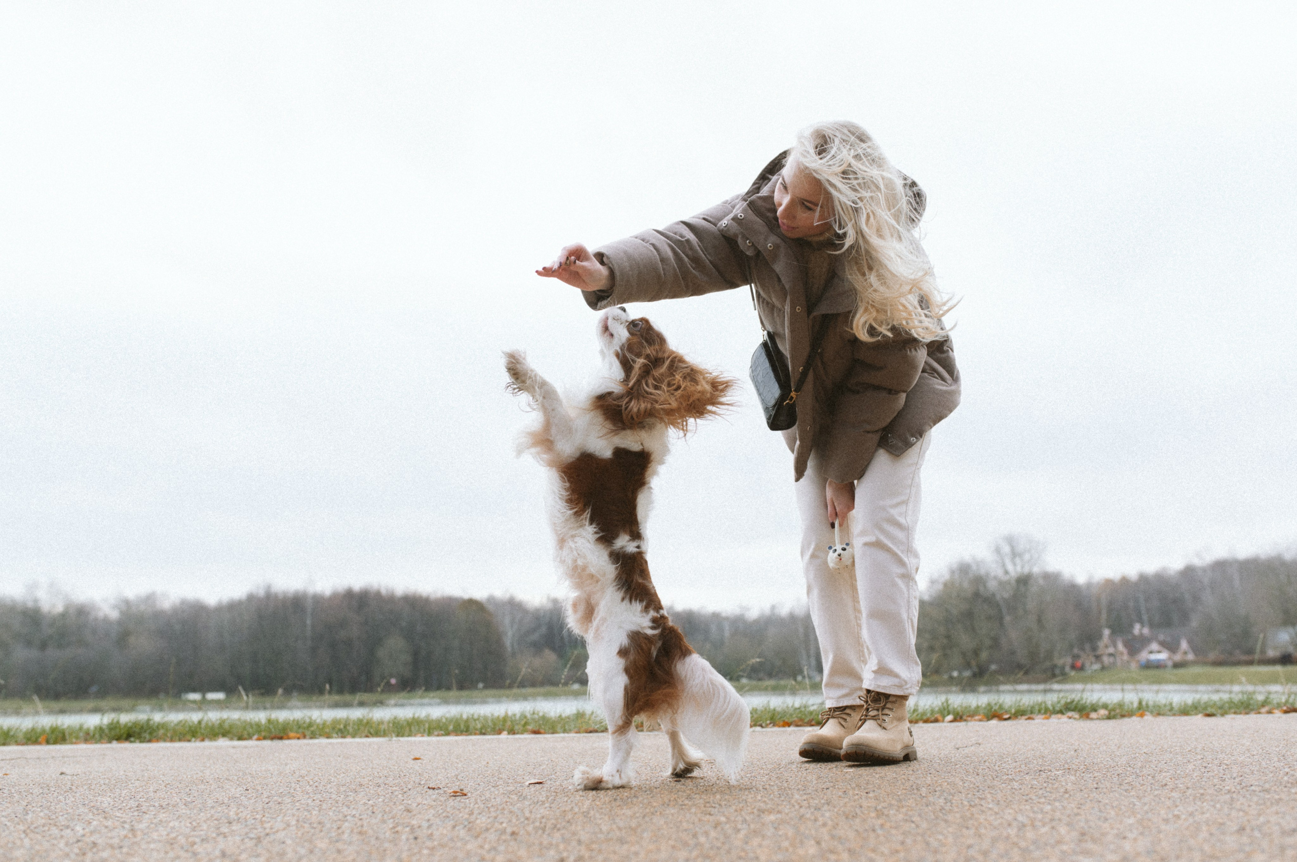 Настя и Тэйлор. Фотограф анималист в Москве Ольга Агушева