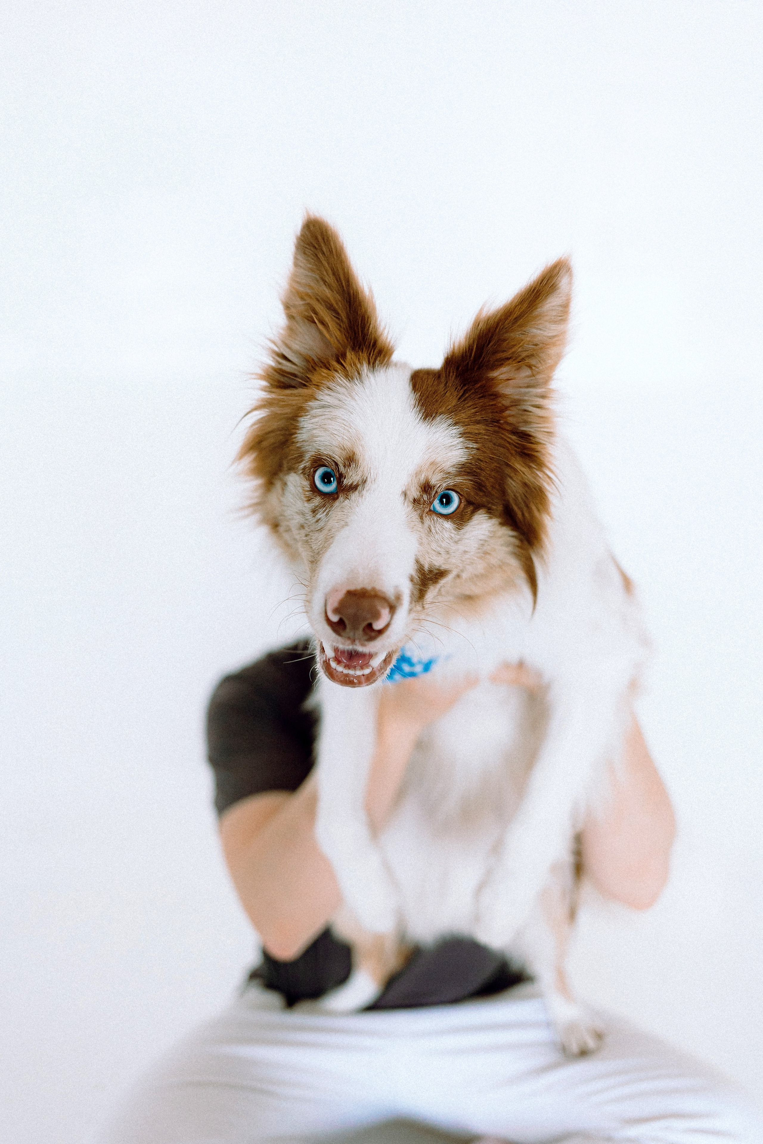 День рождения Айко