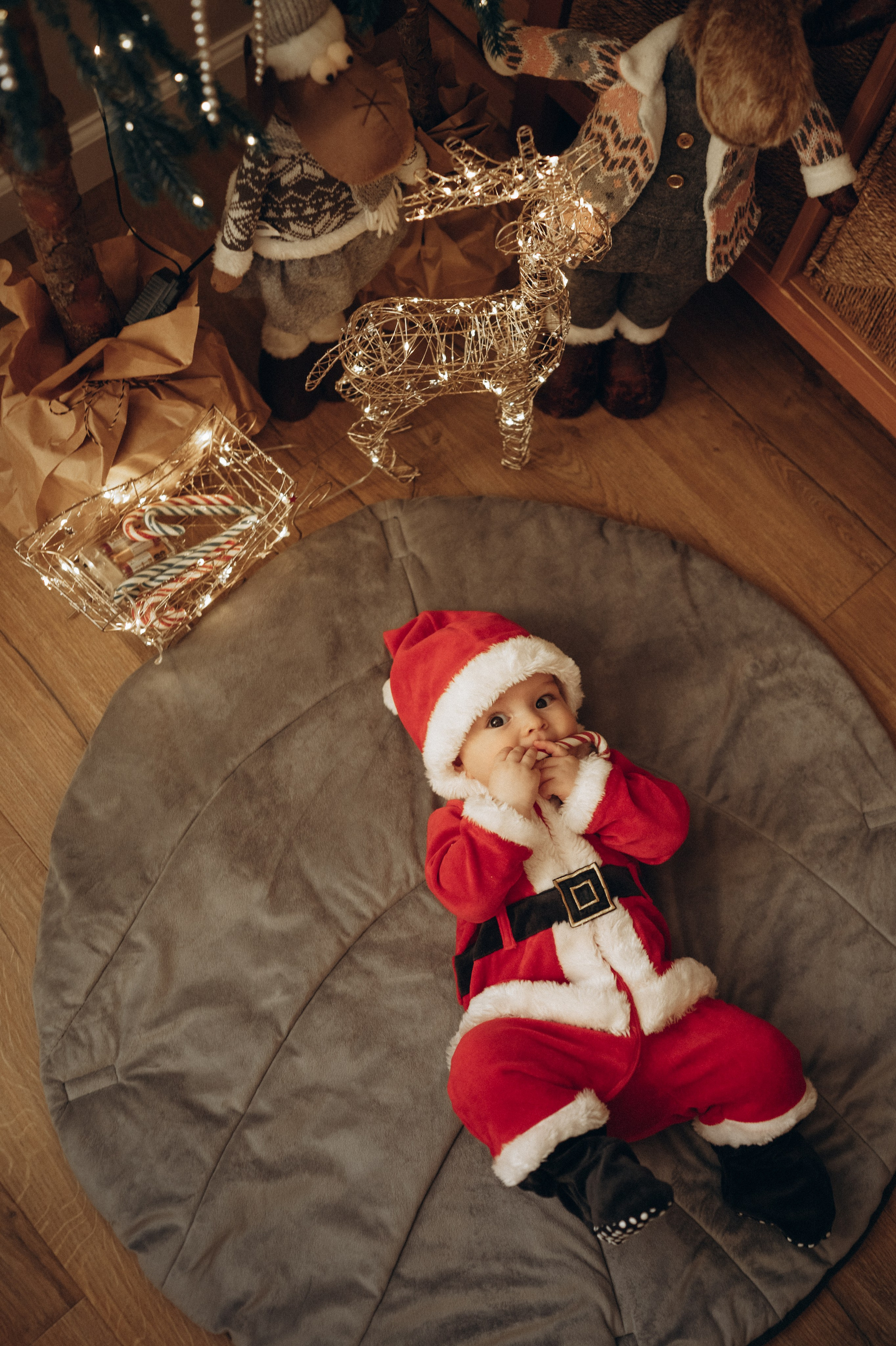 Женя, Вика, Давид и Молли. Фотограф Горбенко Анна