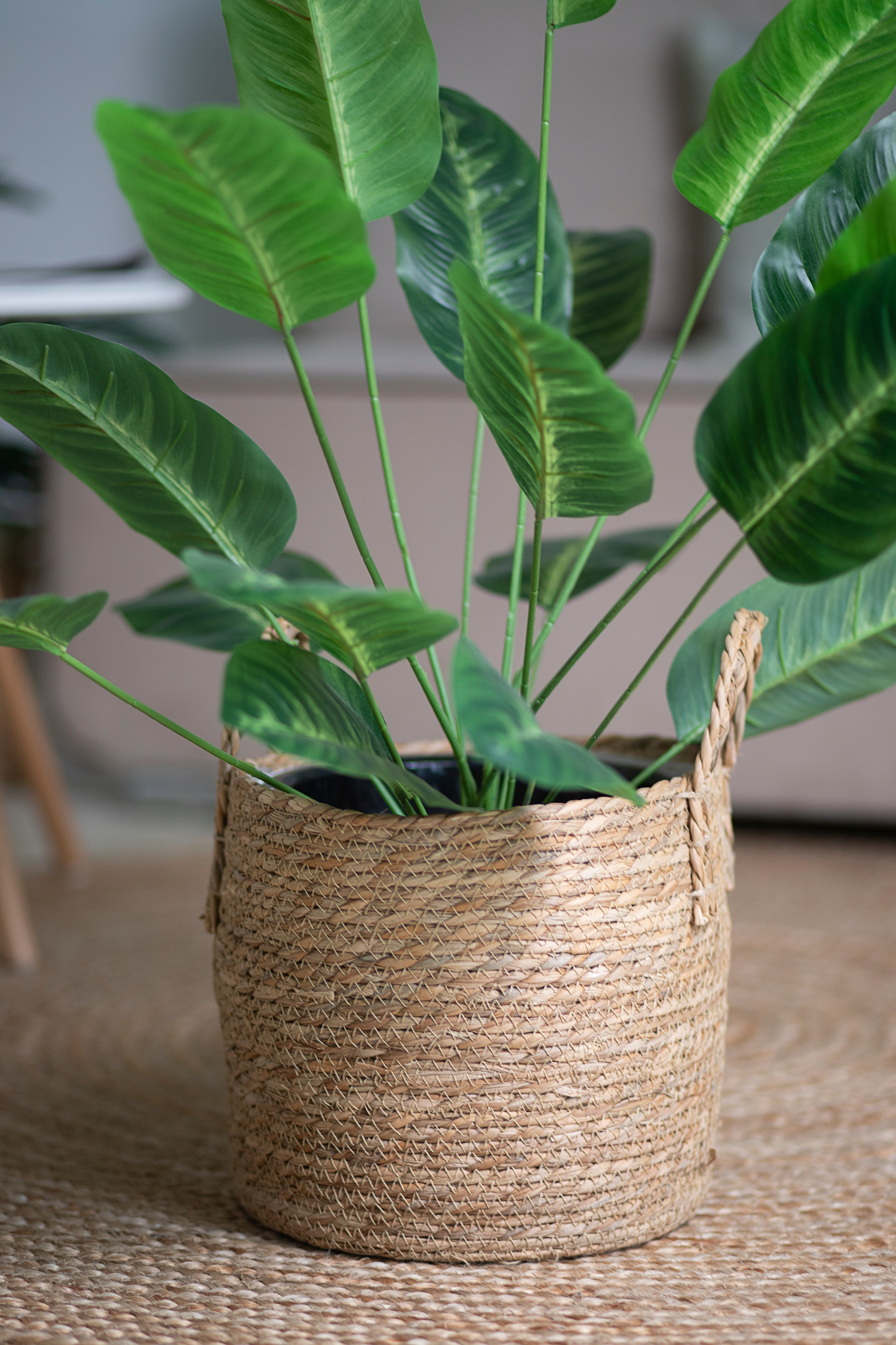 Маркетплейс. Фотограф Пушкино и Москва Анастасия Коган