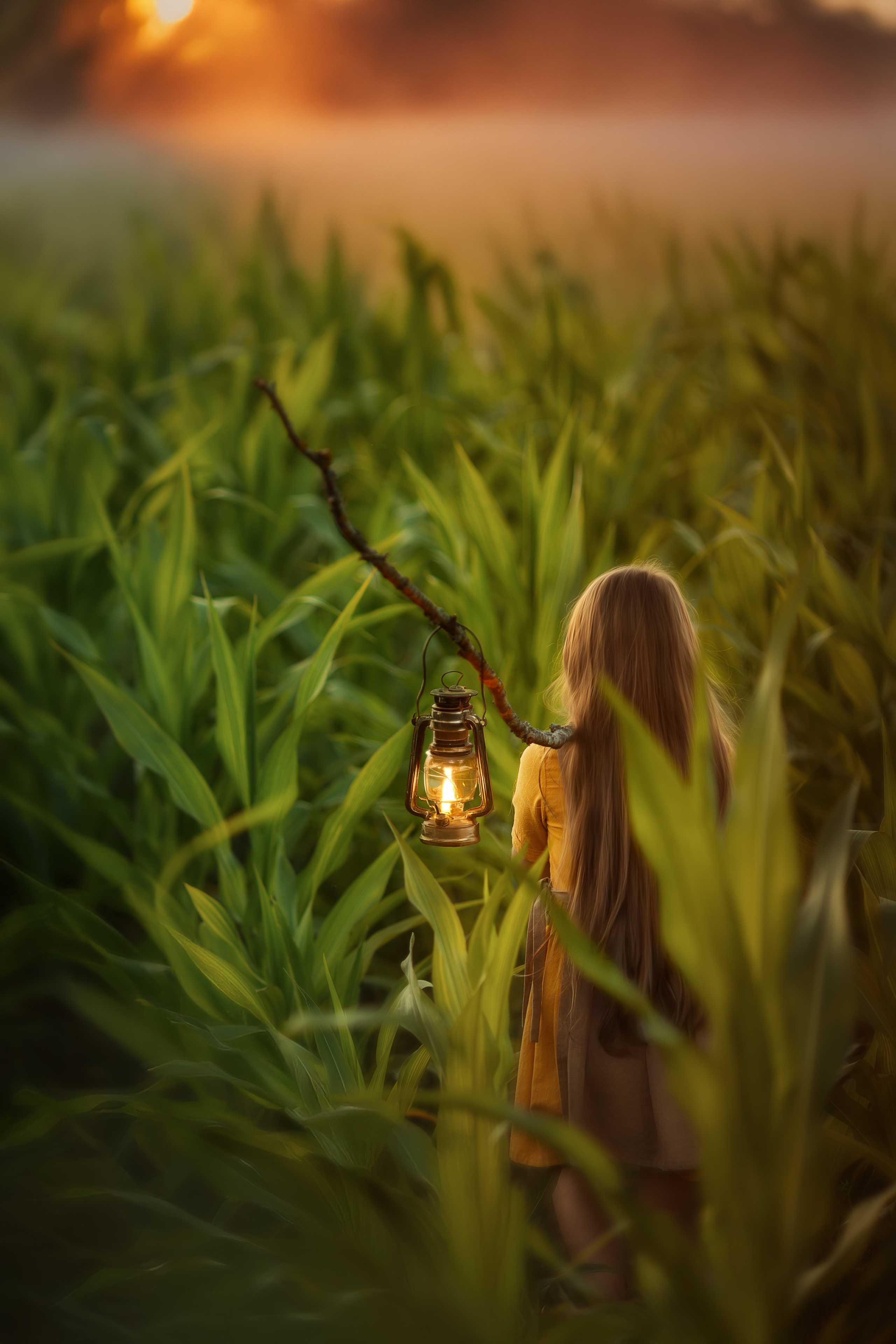 Девочка стоит спиной в высоких зелёных растениях и держит на палке старинный керосиновый фонарь с тёплым огнём. На заднем плане — туман и оранжевое закатное солнце.