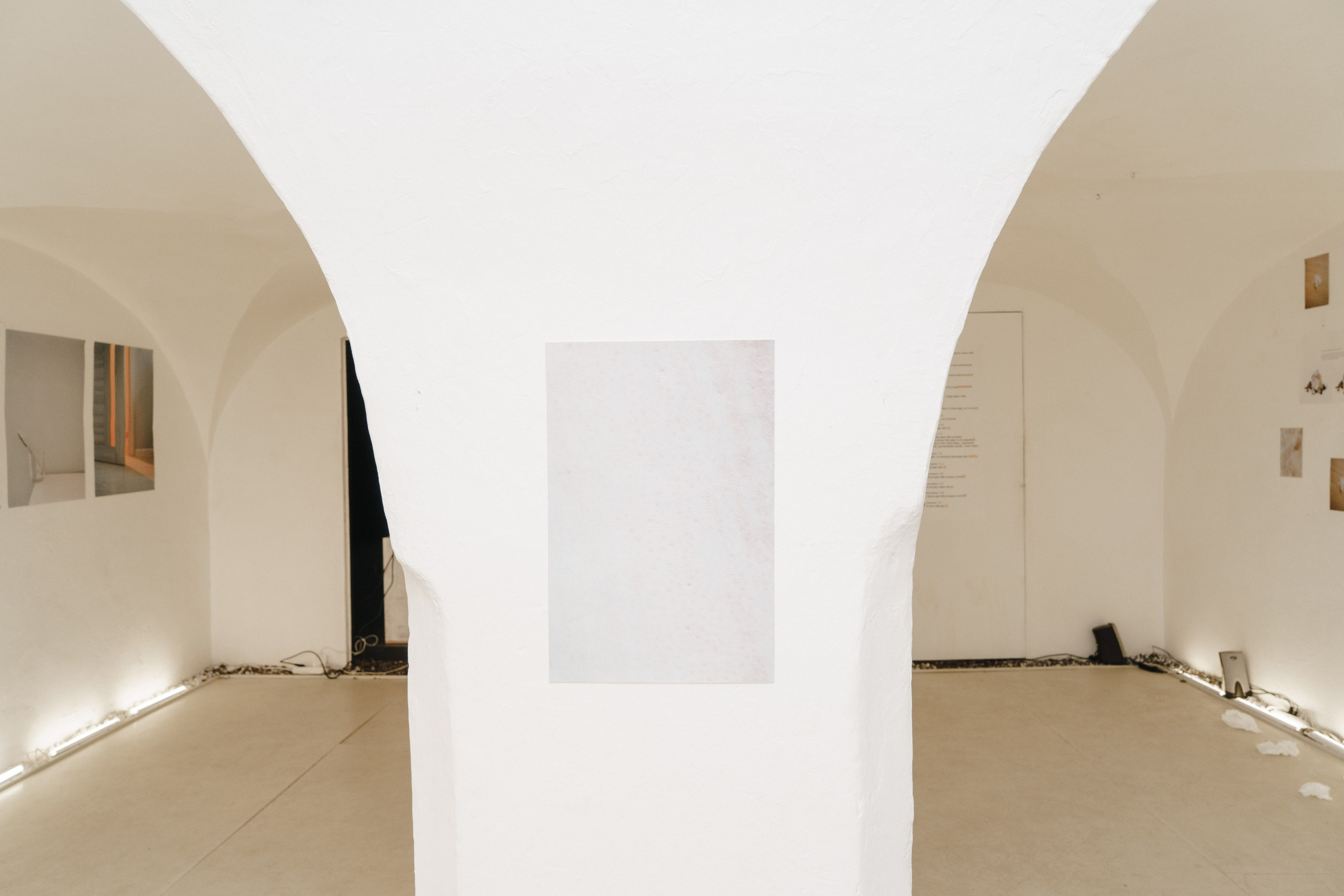 Эффект присутствия. Козлова Екатерина. Междисциплинарная визуальная художница